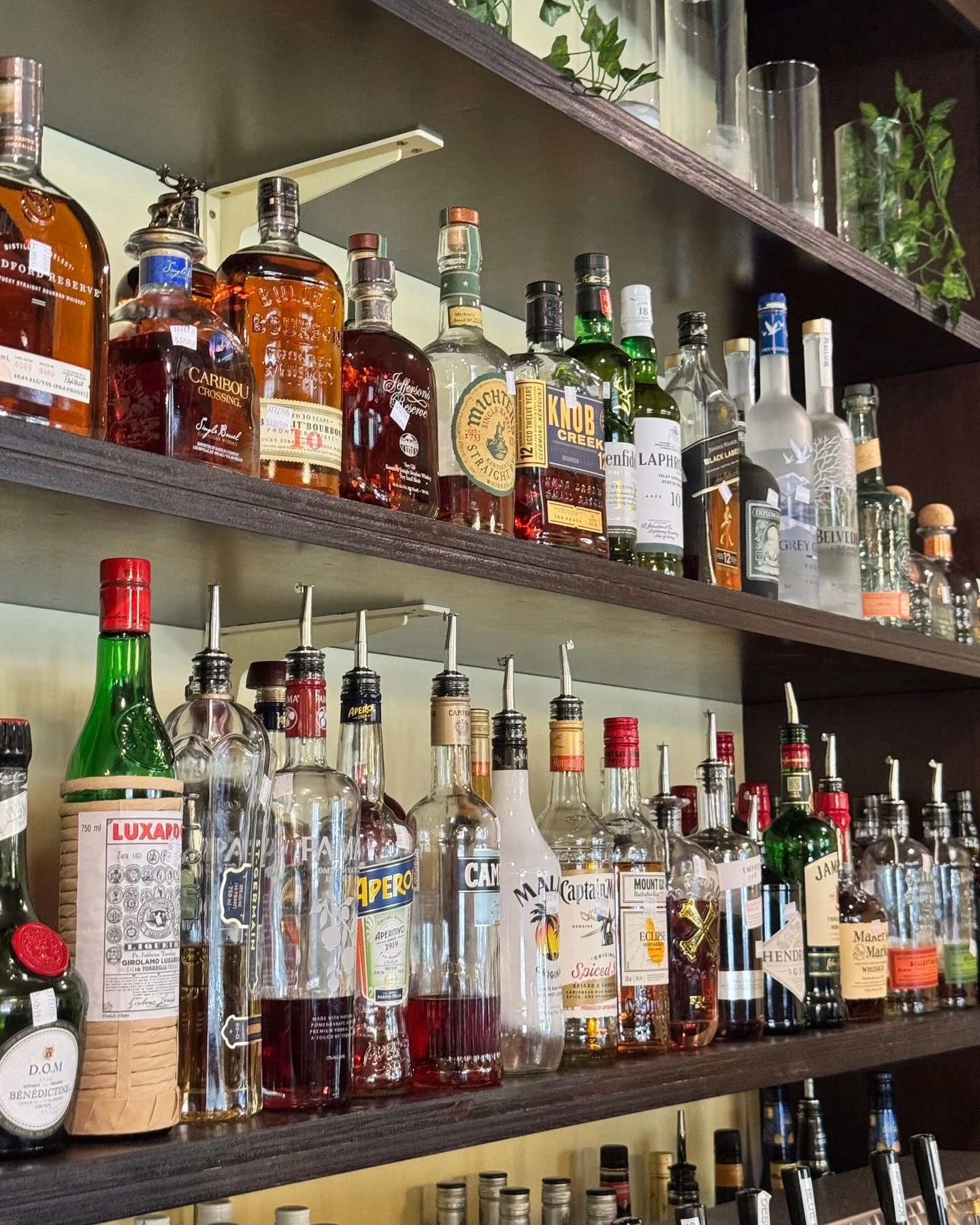 Looking for weekend plans? This is your sign to stop in and check us out! We're open all weekend 🥂 

#SAVOURFarmville #SAVORthemoment #EatLocal #DowntownFarmville #Farmvilleva