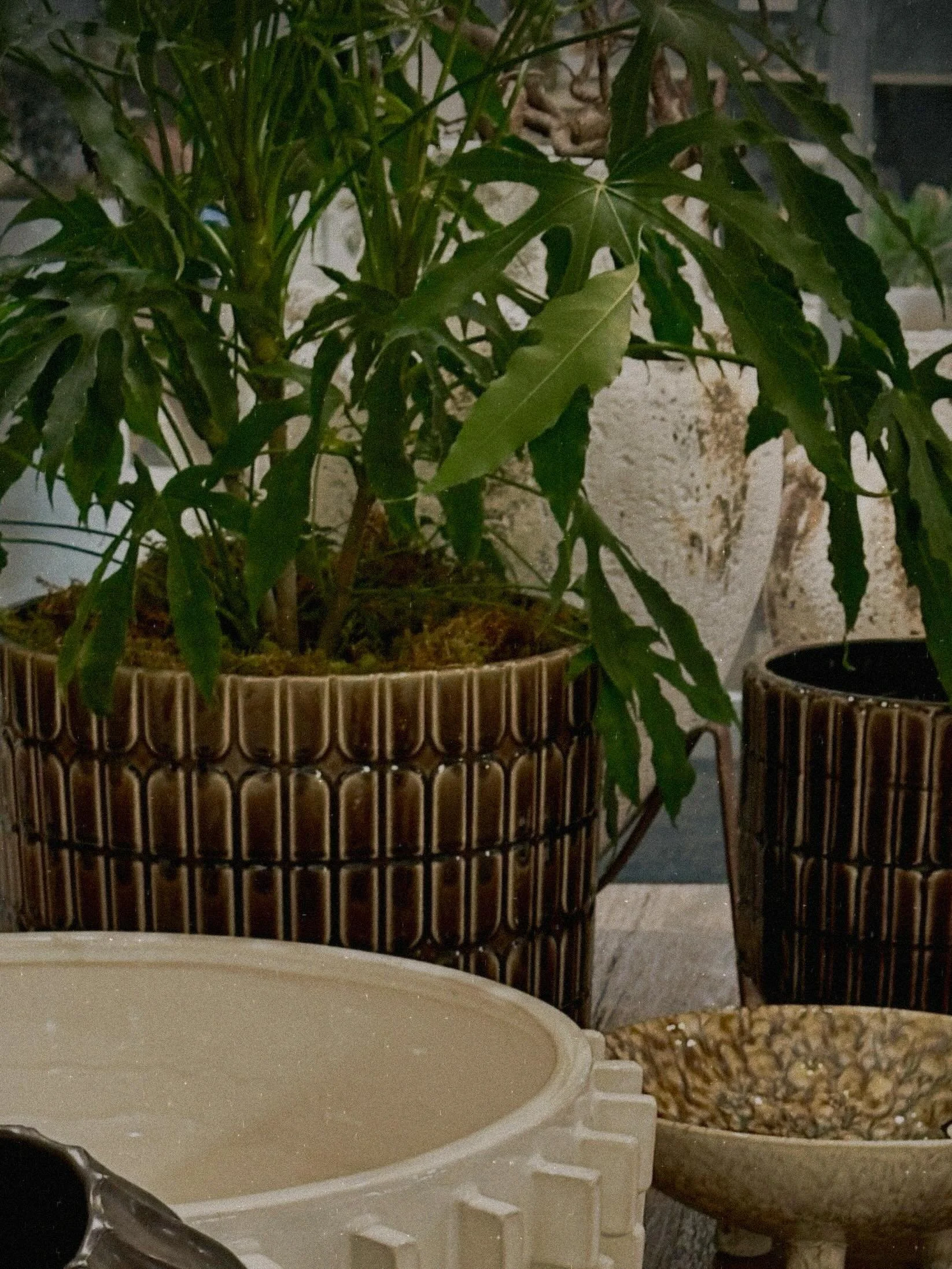 Plants are a great tool in decorating a space &mdash; they soften hard lines, add movement, and make any space feel more inviting.  Here they&rsquo;re shown with statement pottery, to create balance and harmony. 

#interiordesign #interiorstyling #da