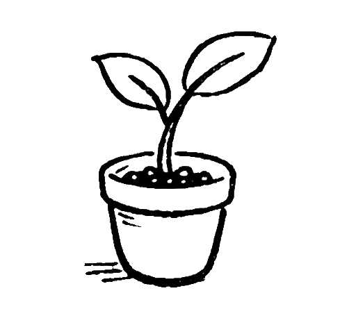 Drawing of a potted plant with two leaves and a small stem