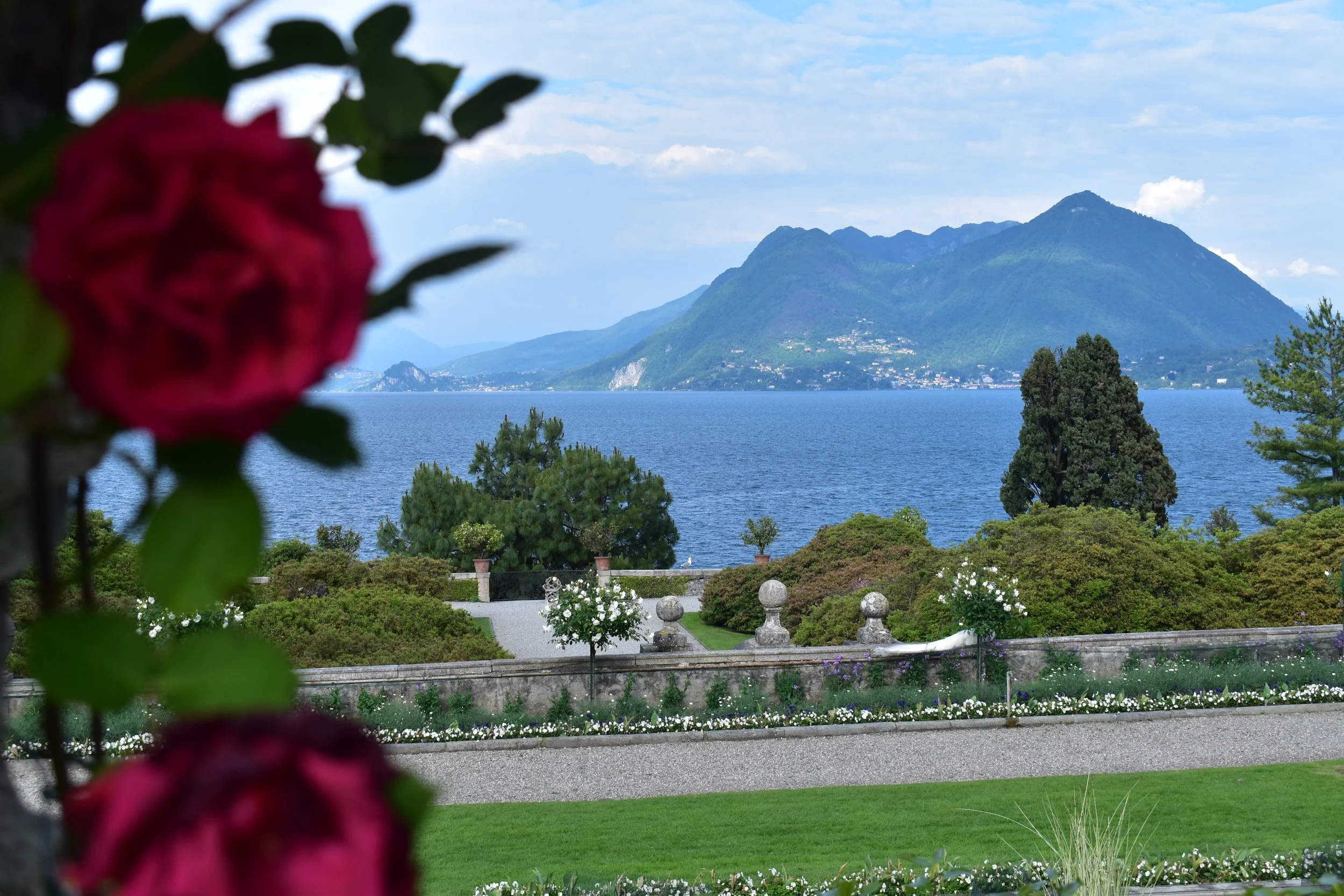 DSC_0354.JPG