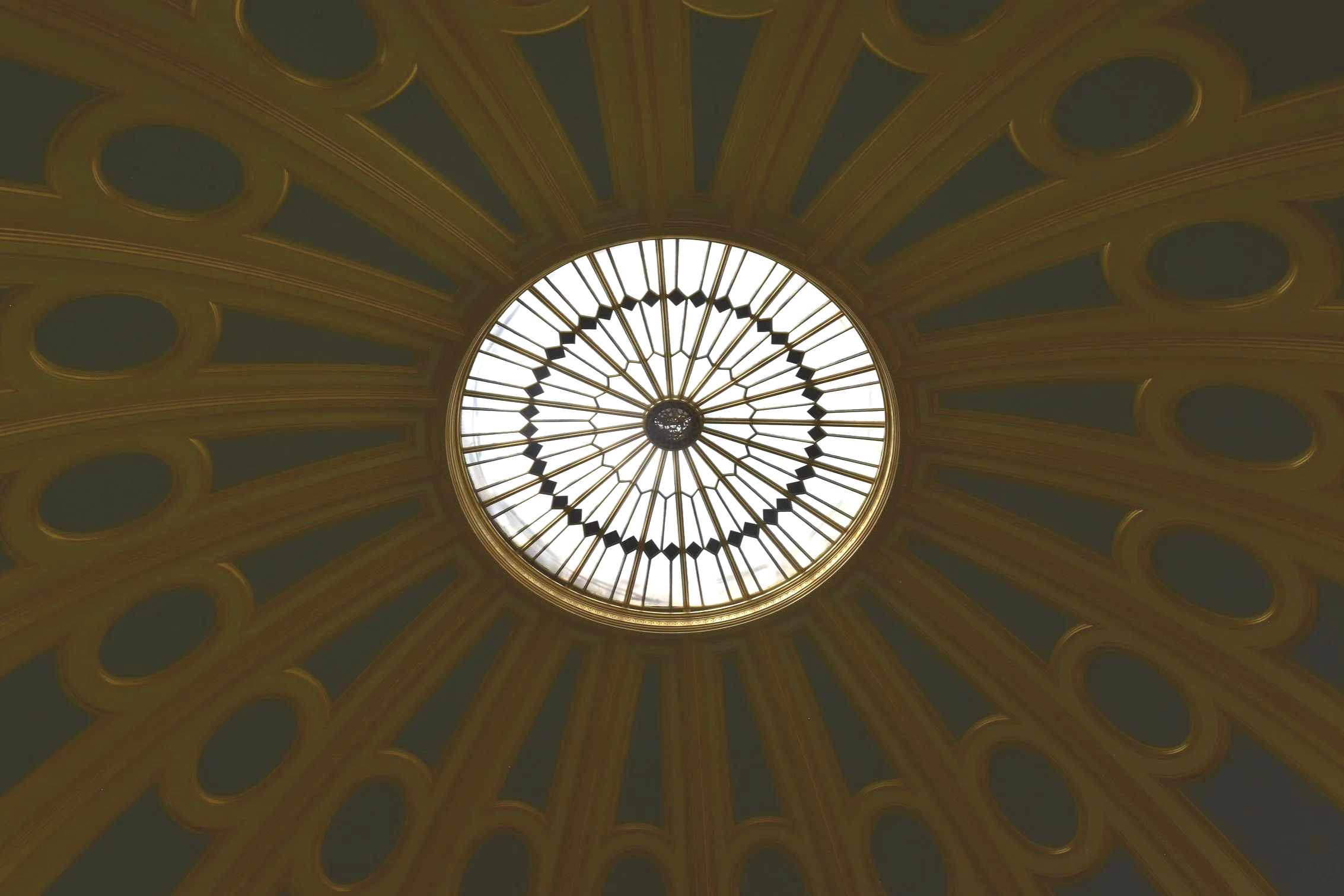 DSC_0075.png