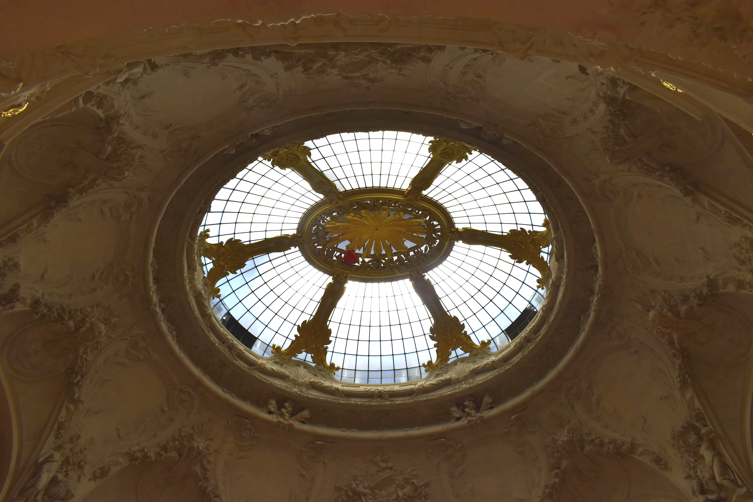 DSC_0481.png