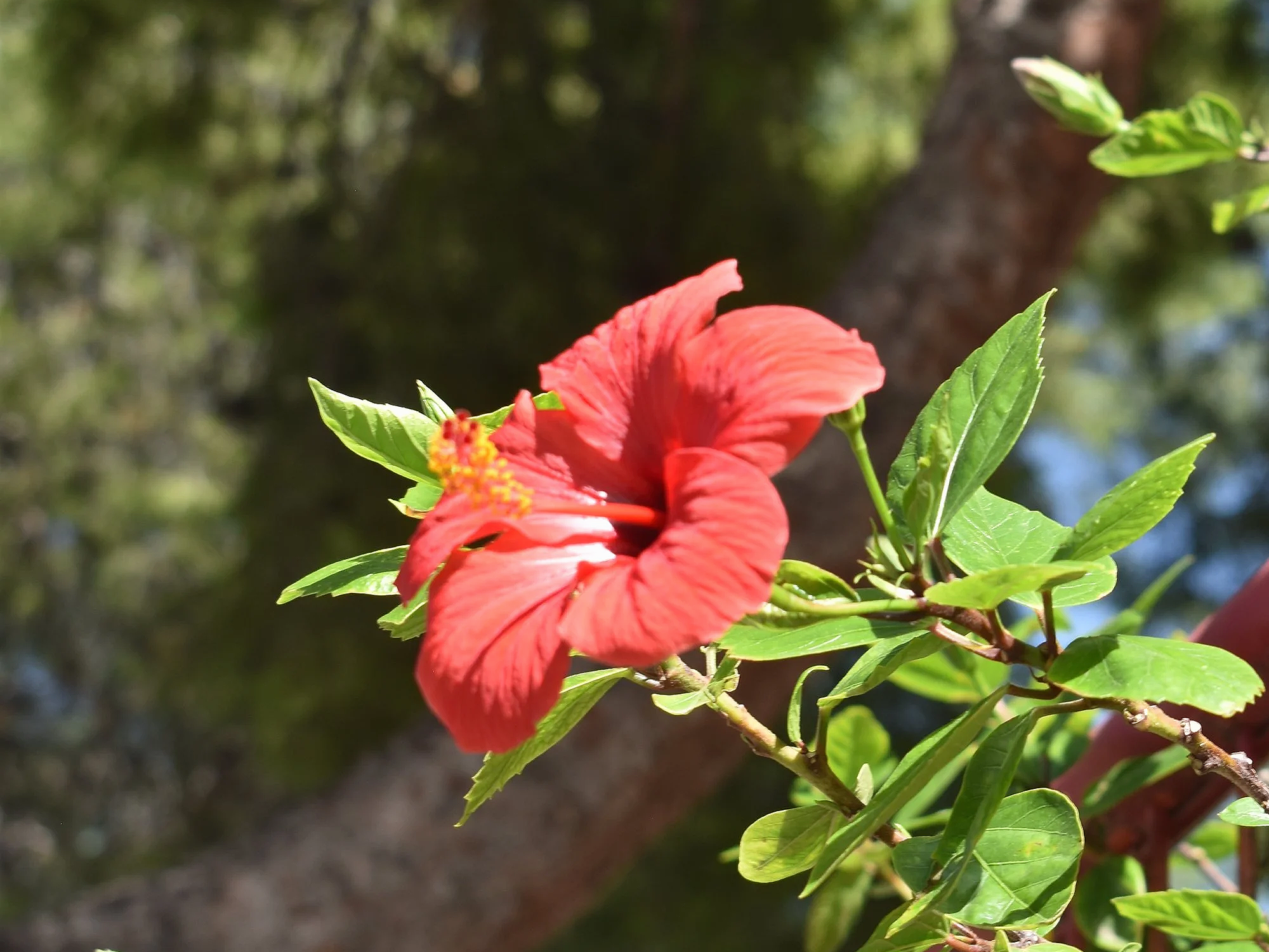 DSC_0455.png