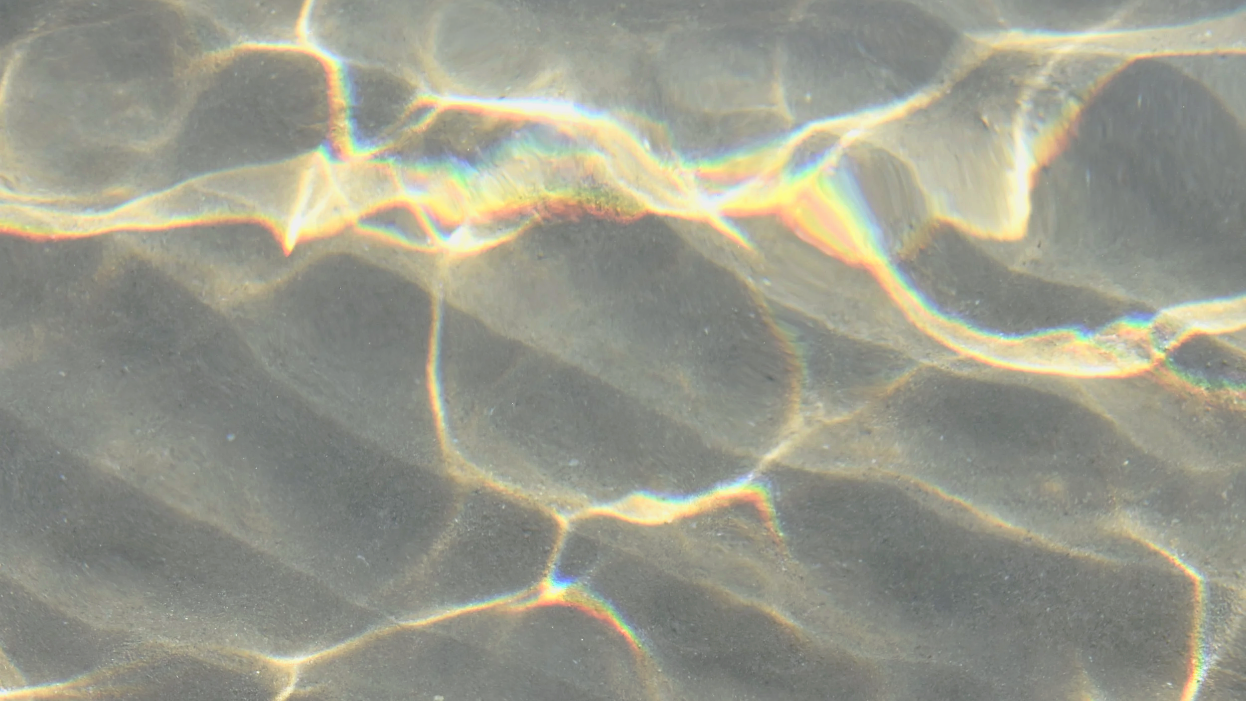 DSC_0054.png