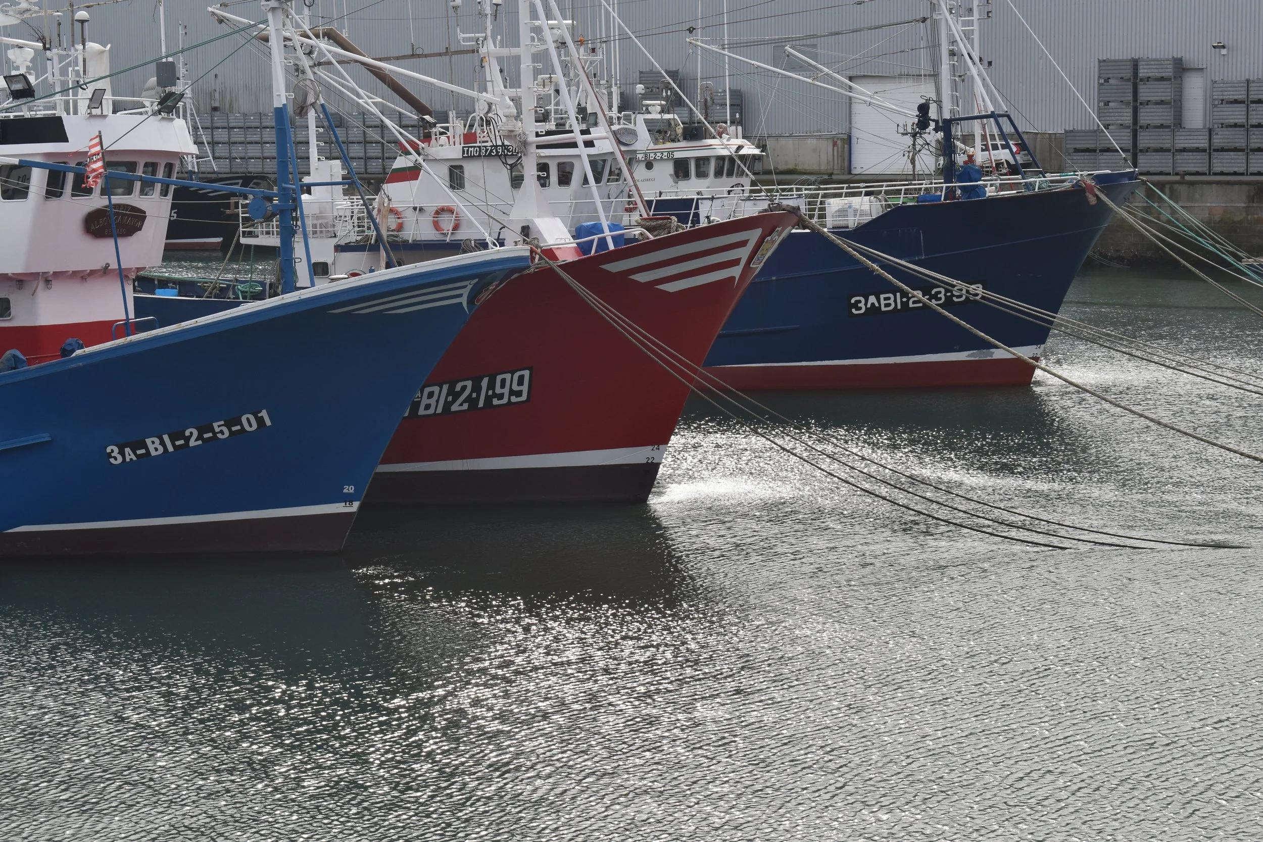 DSC_0057.JPG