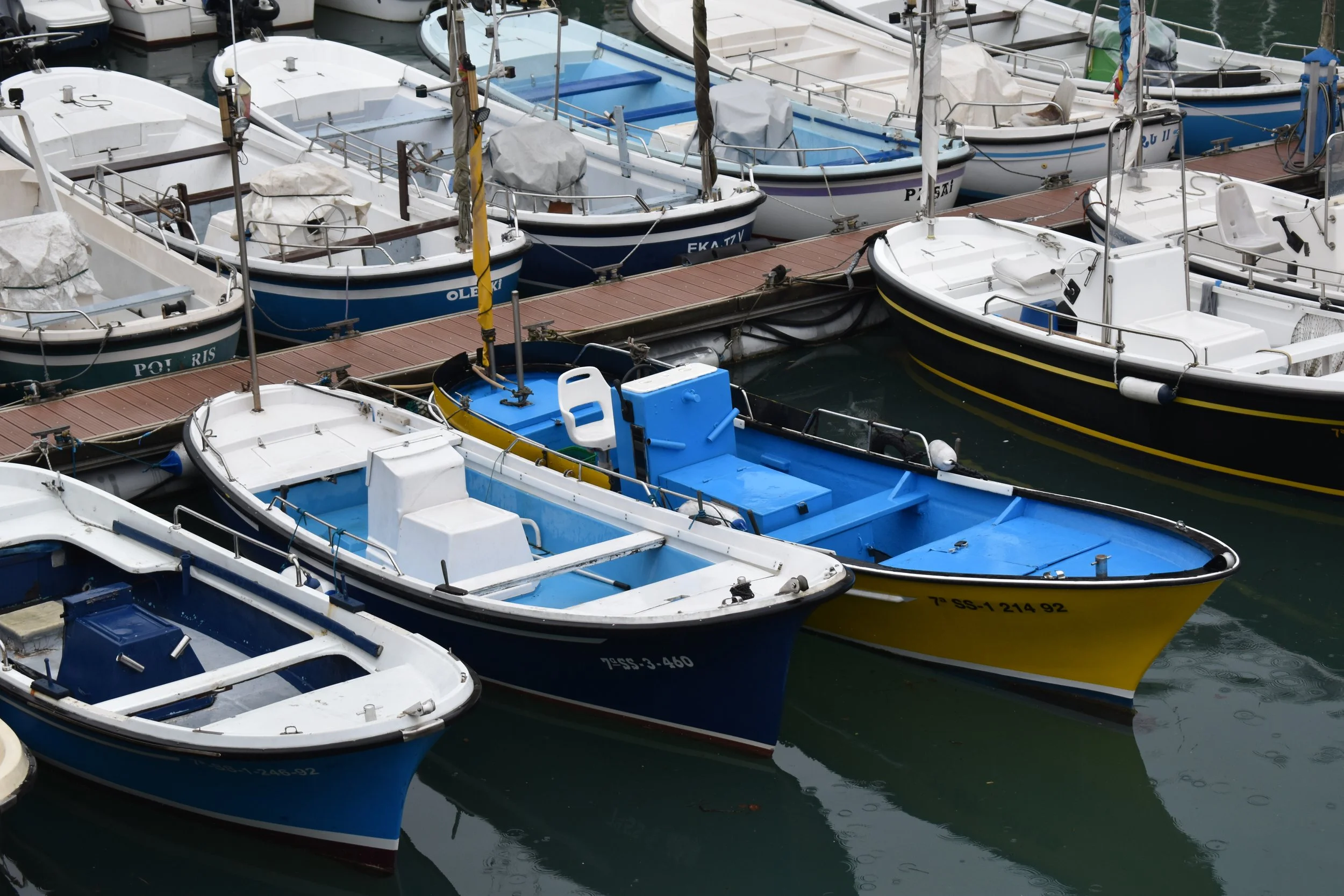 DSC_0212.JPG