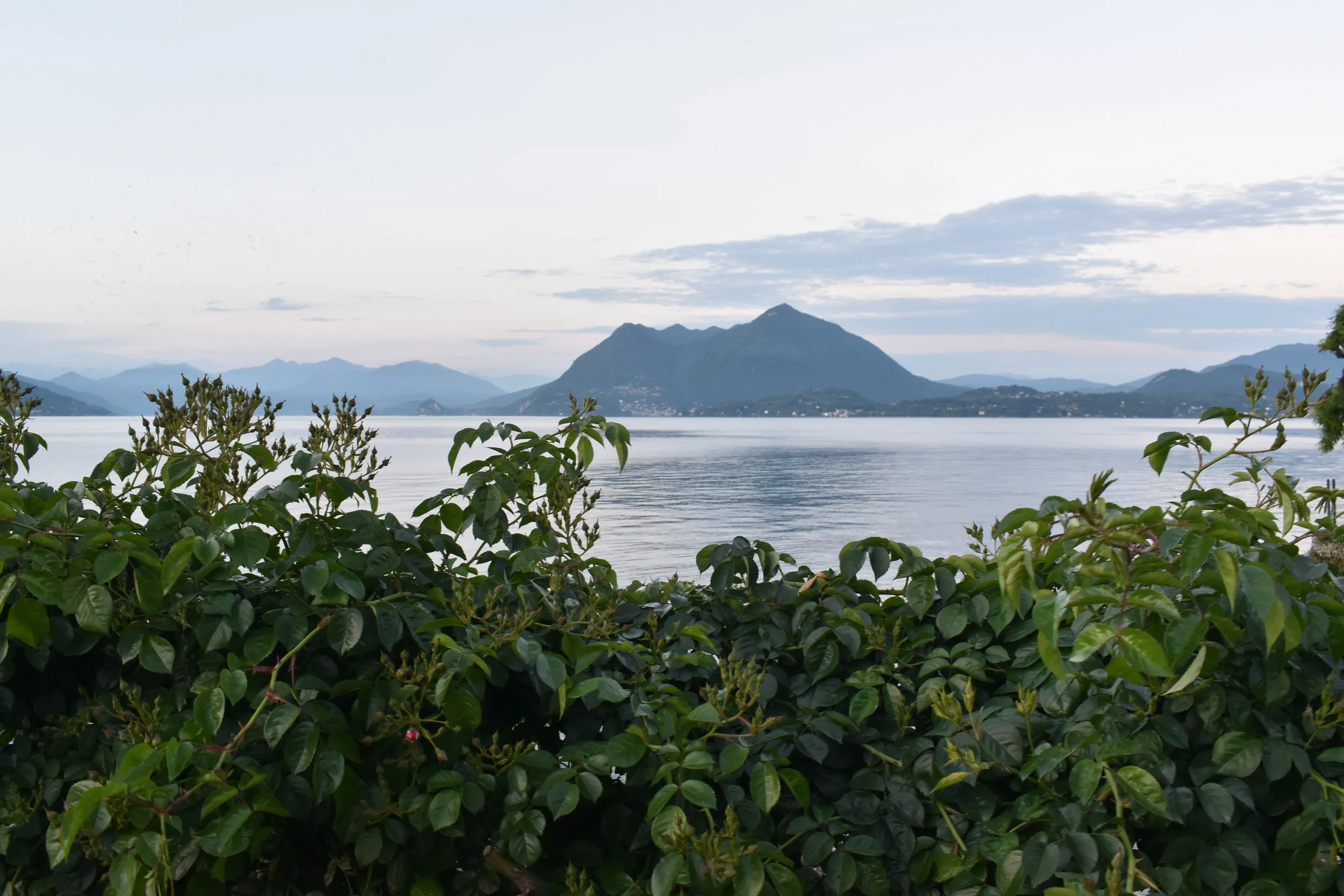 DSC_0424.JPG