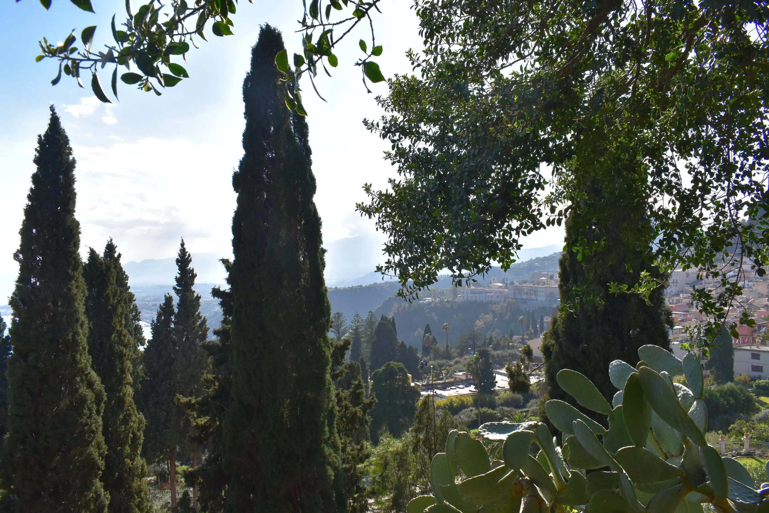 DSC_0004.JPG