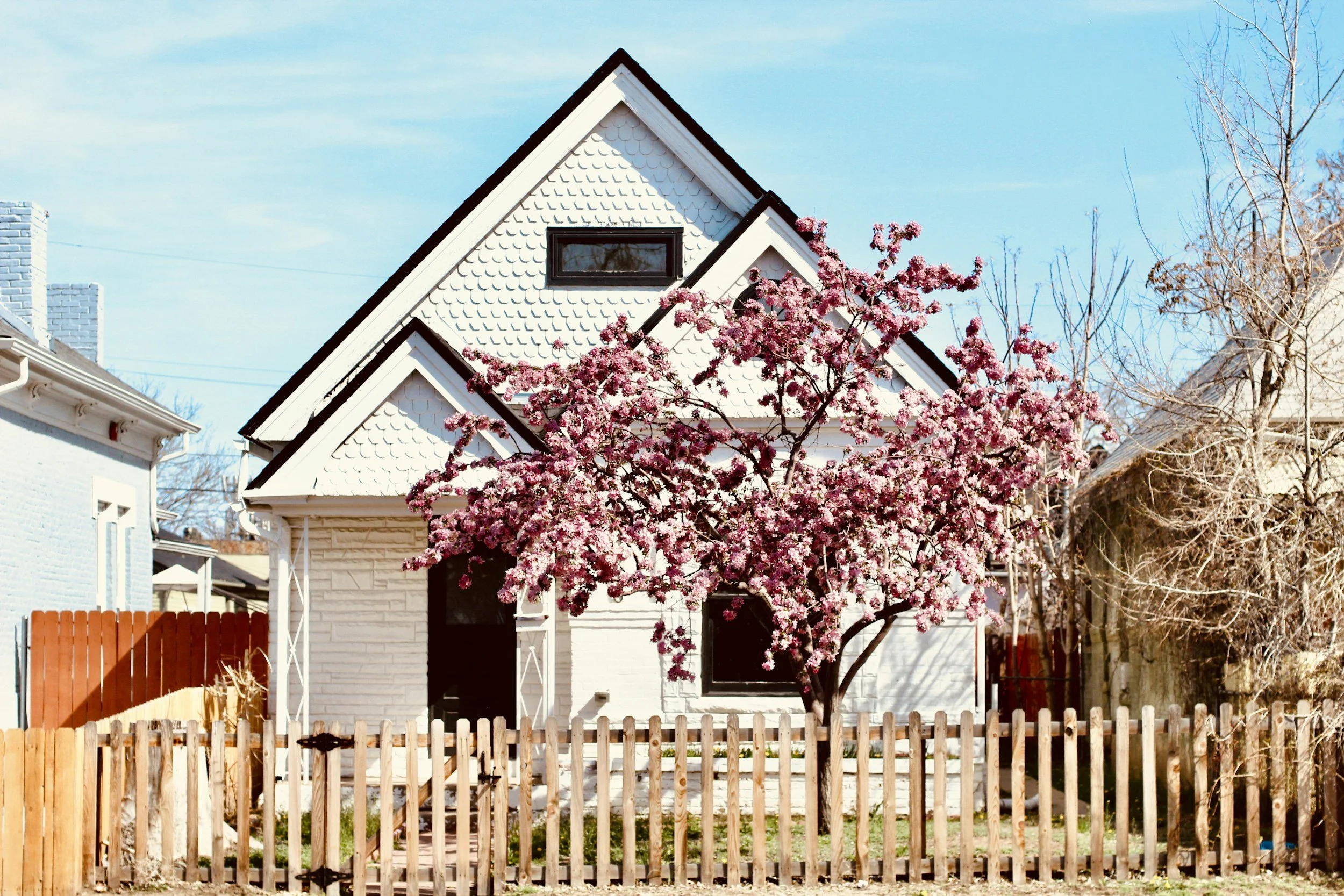 A white house with black accents and a gable roof, in front of which a pink flowering tree is blooming. A wooden fence surrounds the yard. The sky is clear and blue.