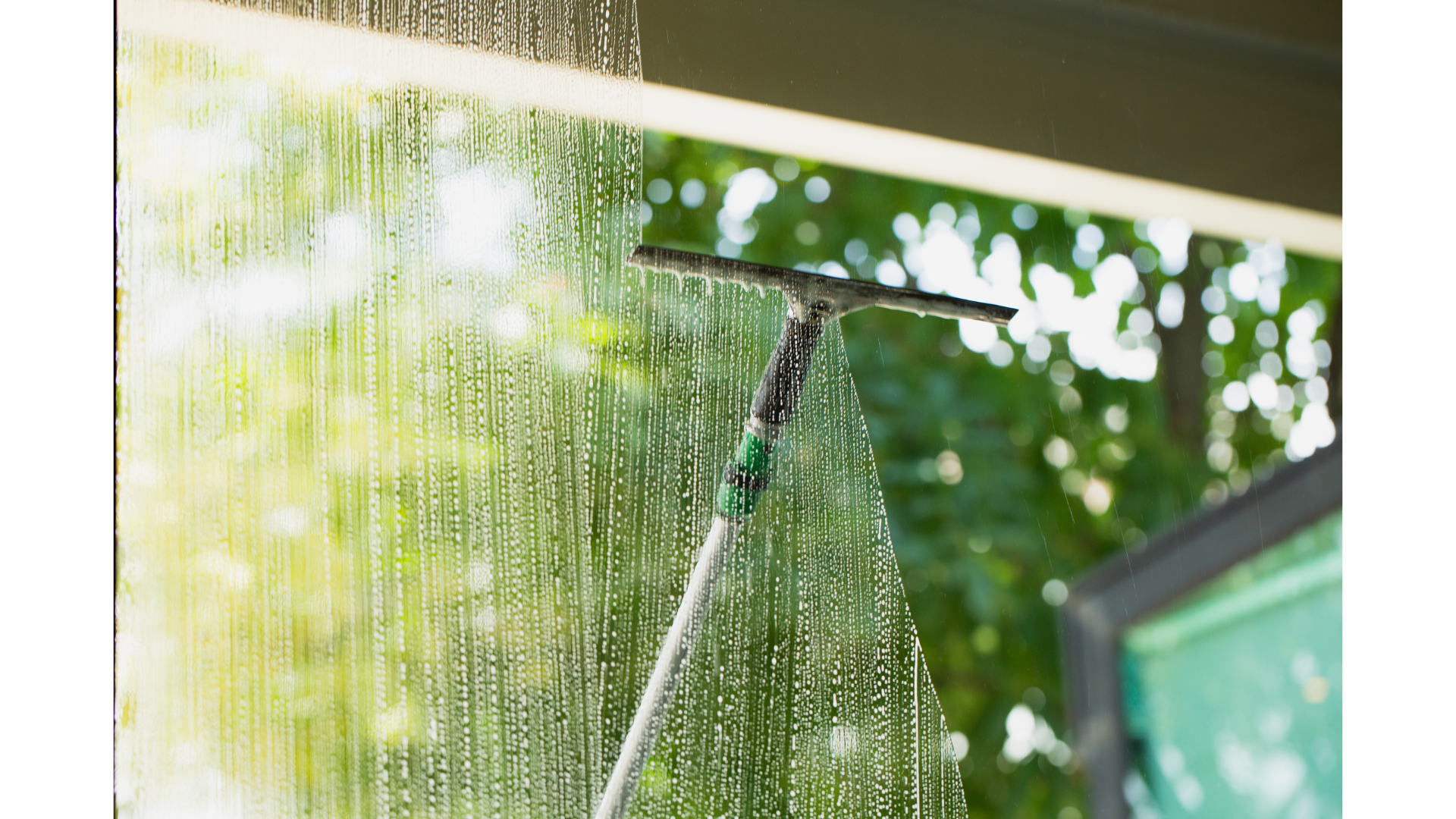 Window cleaner using a squeegee to clean a glass window covered in soap suds, with a blurred outdoor background of trees.