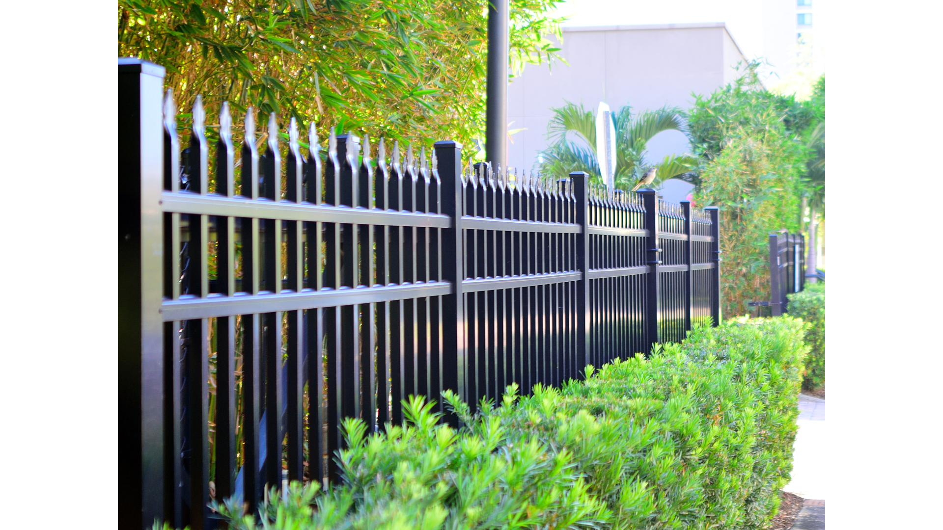 Black metal fence alongside a sidewalk with greenery and small bushes in front, and trees and building in the background.