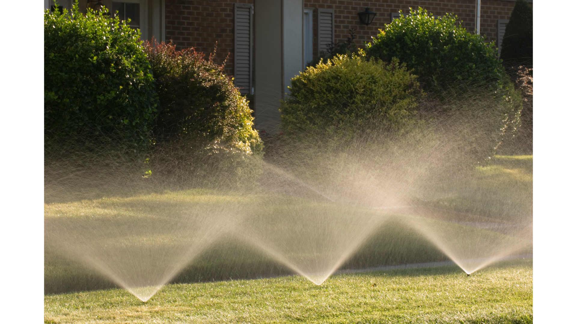 Sprinklers watering a well-maintained lawn in front of a brick house with shrubbery and bushes.
