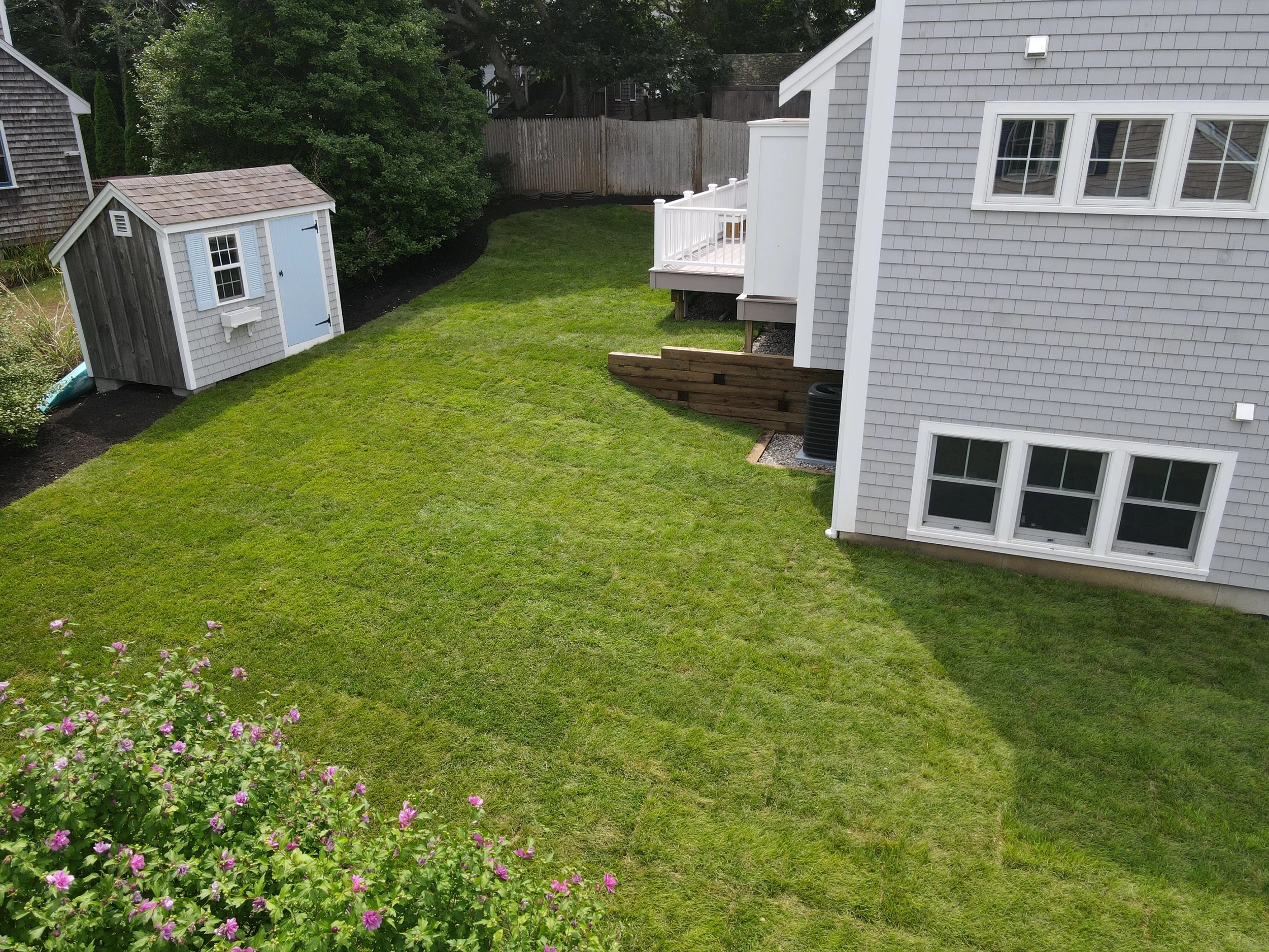 An aerial view of a residential backyard with a green lawn, a small shed with gray siding and a light blue door, and part of a gray house with multiple windows and a backyard deck with white railings.