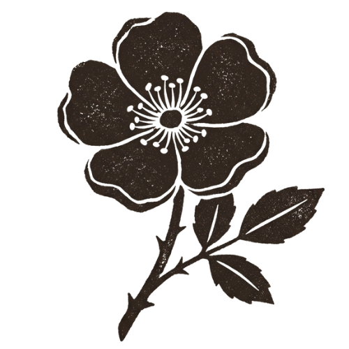 Deb Buck, founder and yoga teacher, blending embodiment, earth-based practice, and teaching