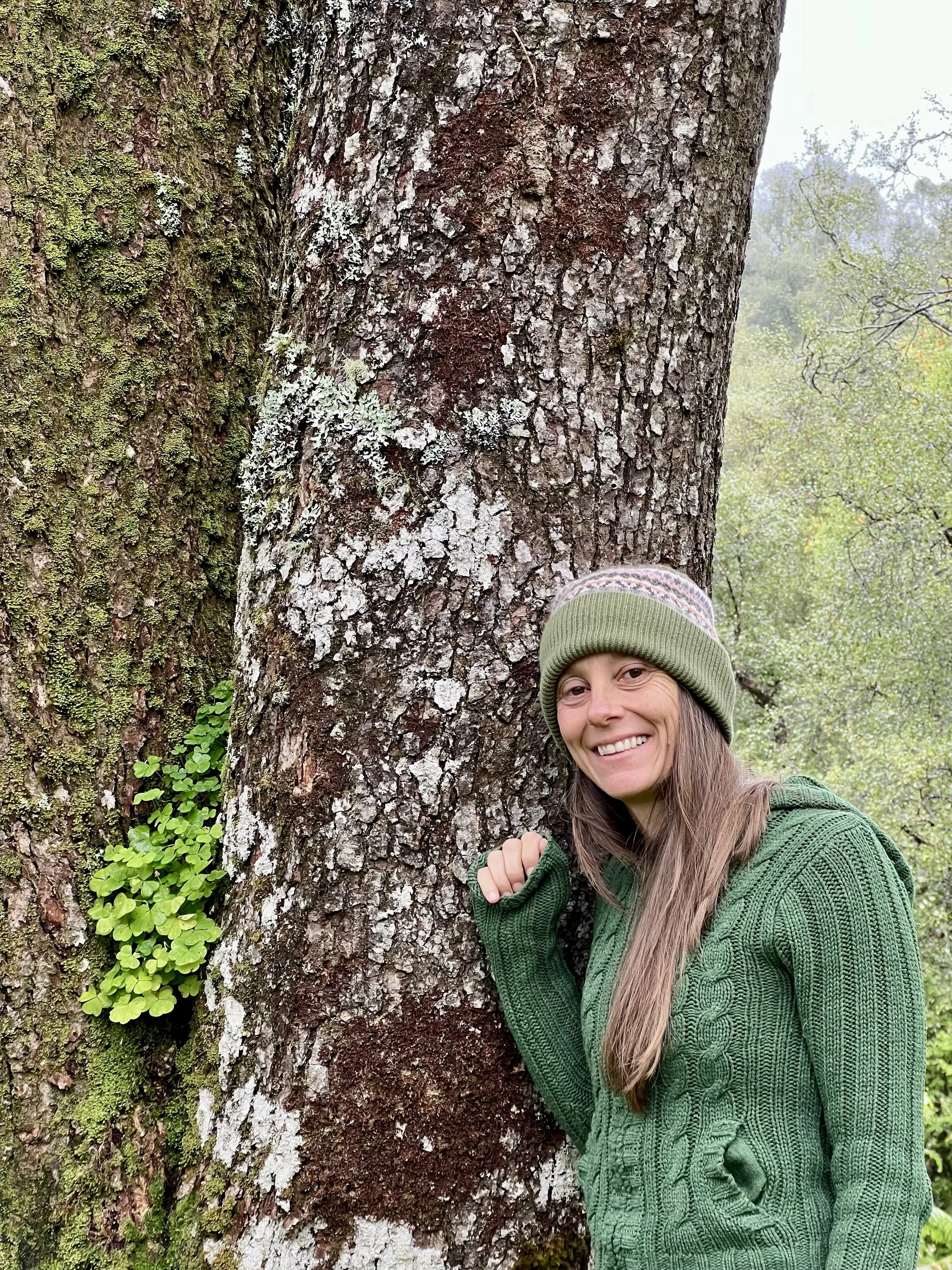 Herbal medicine tools and plants used by Deb Buck in her Colorado-based practice