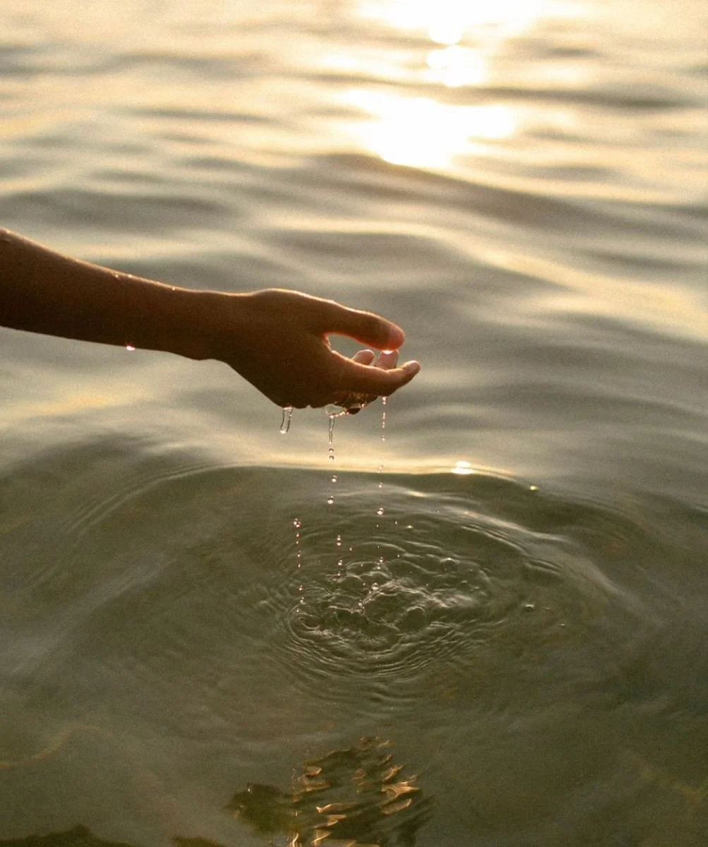 Herbal medicine tools and plants used by Deb Buck in her Colorado-based practice
