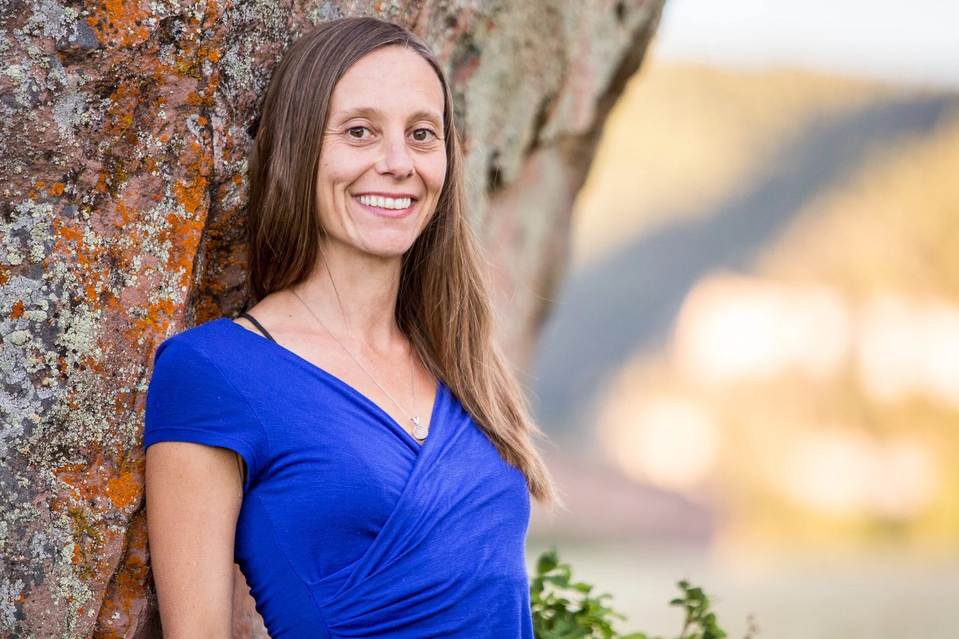 Close-up of dried herbs and plants used in Deb Buck’s herbal medicine teachings