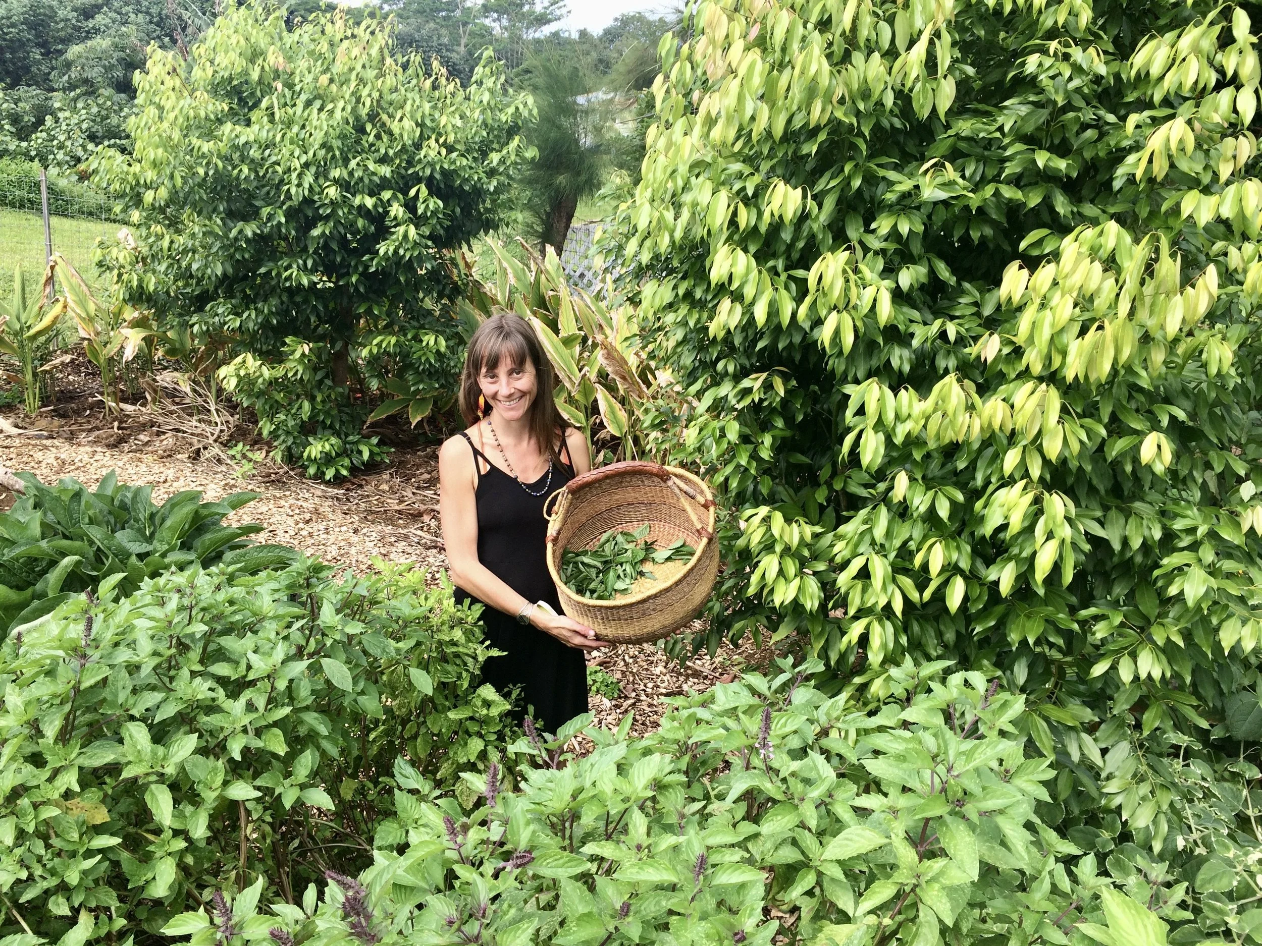 Deb Buck leading a mindful yoga practice rooted in nature and herbal wisdom
