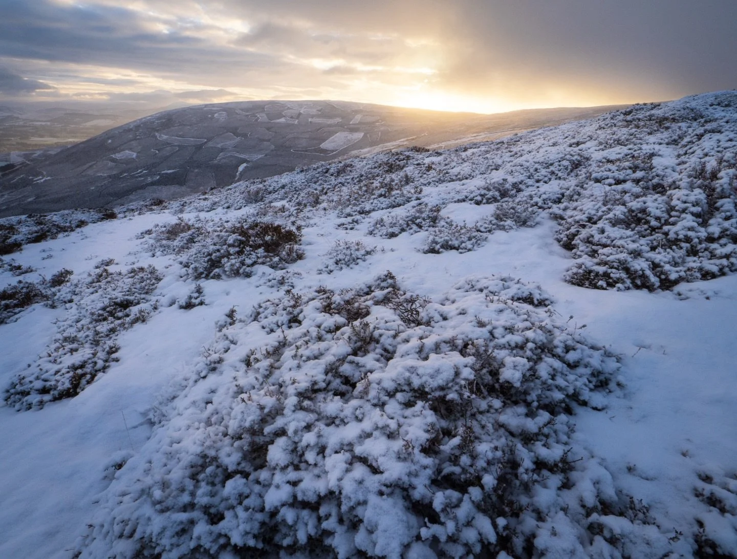 Tinto hill 

@omsystemcameras.uk @visitscotland @your_scotland @unlimitedscotland @scotland.explores 

#tintohill #omsystem #landscape