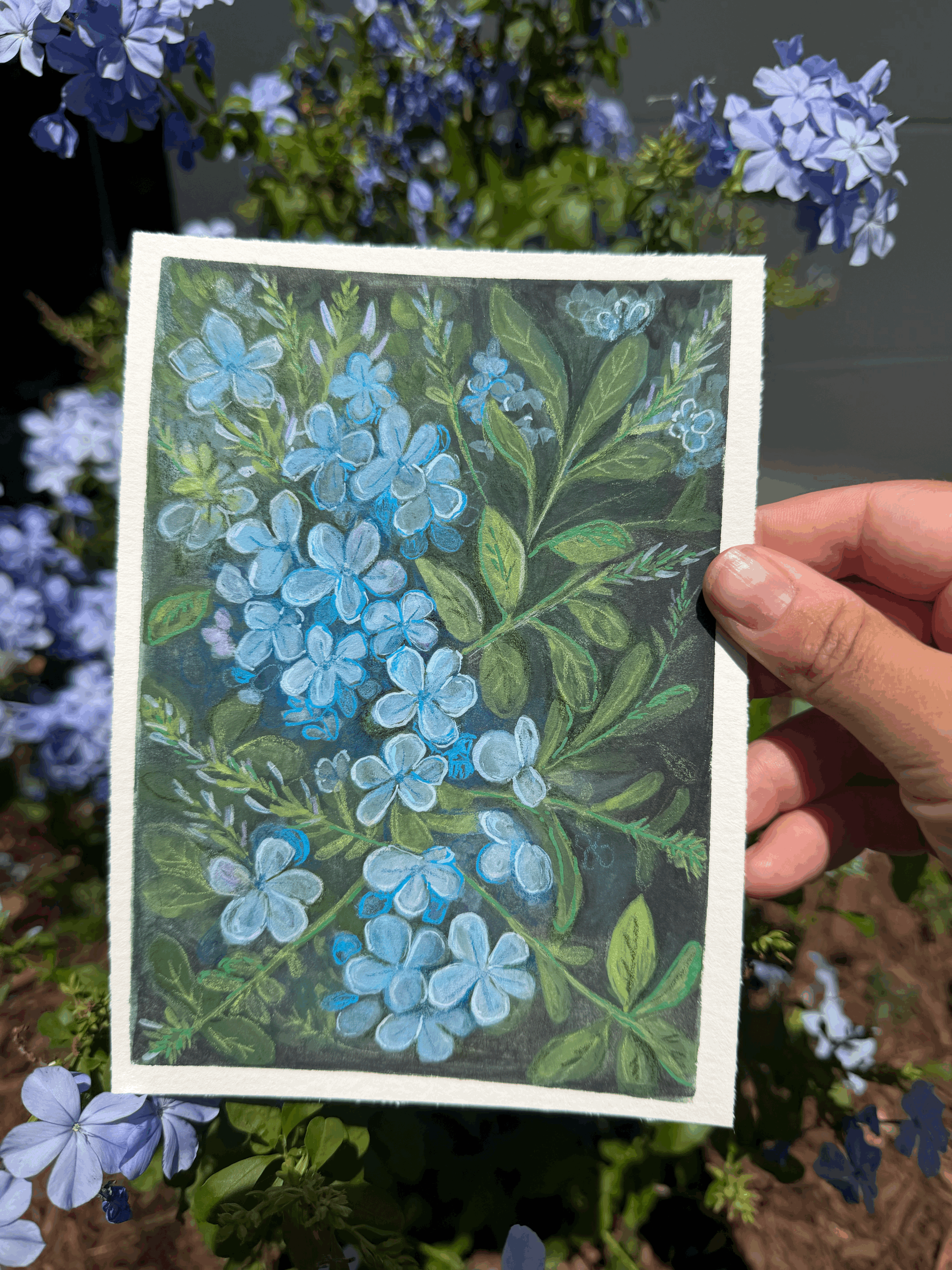 July Print Club Tier 2 (International)