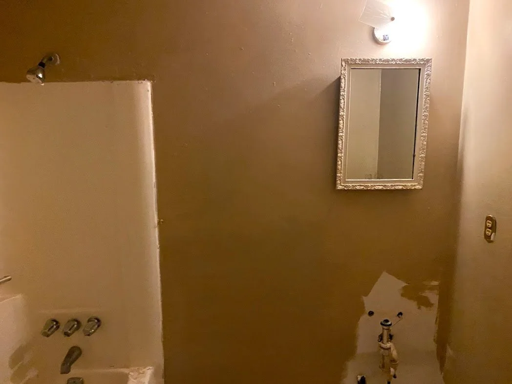 Bathroom-Before.jpg