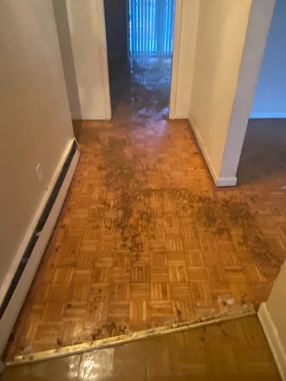 Hallway-Before.jpg