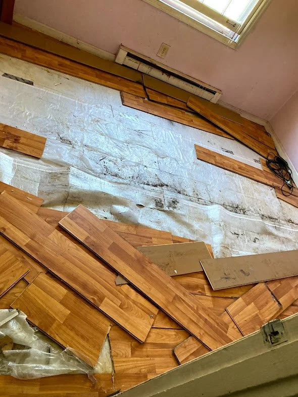 Interior Floor-Before.jpg