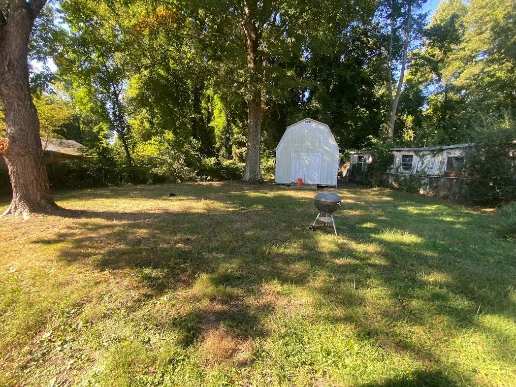 Backyard.jpg
