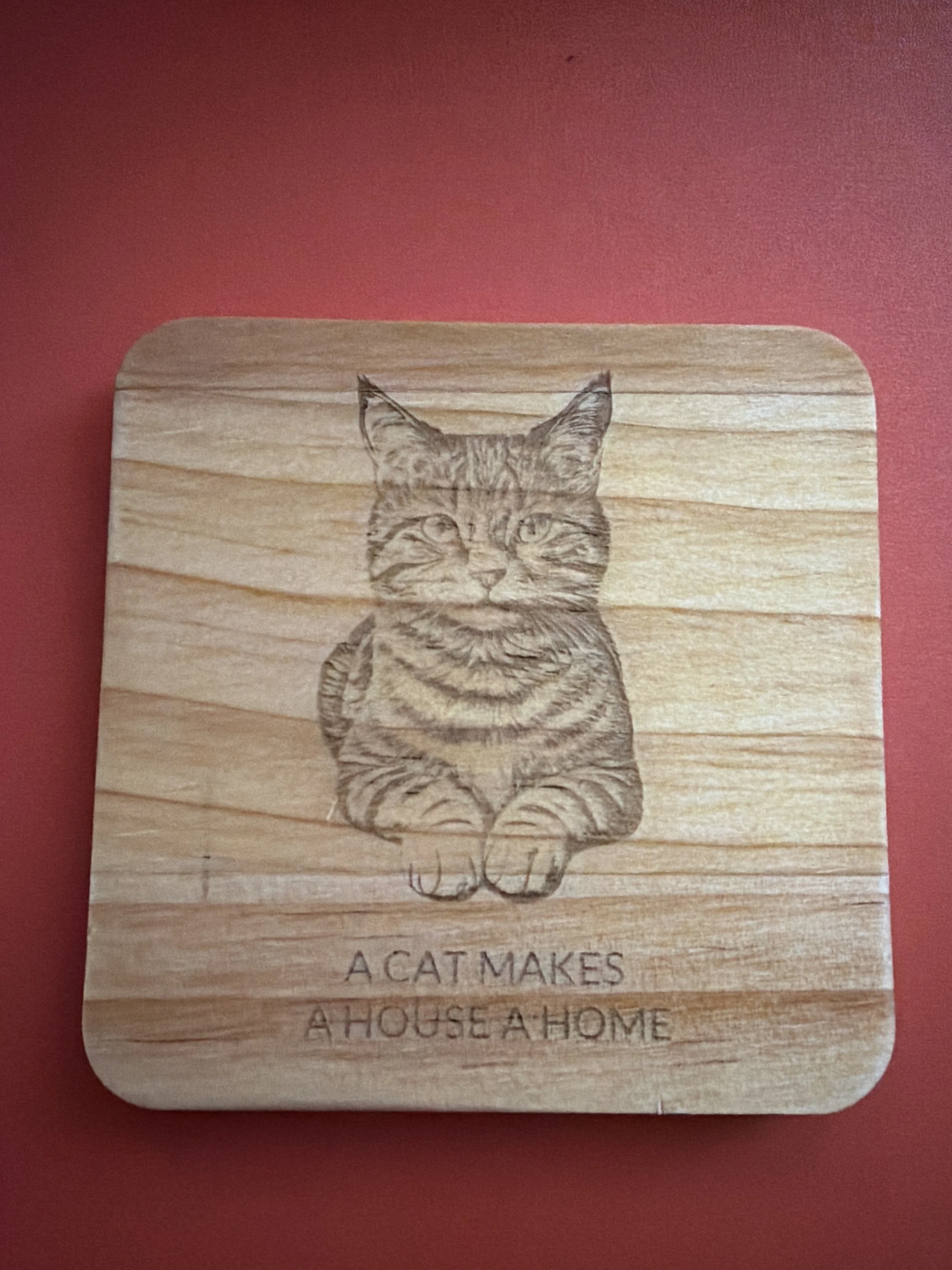 Cat Coaster