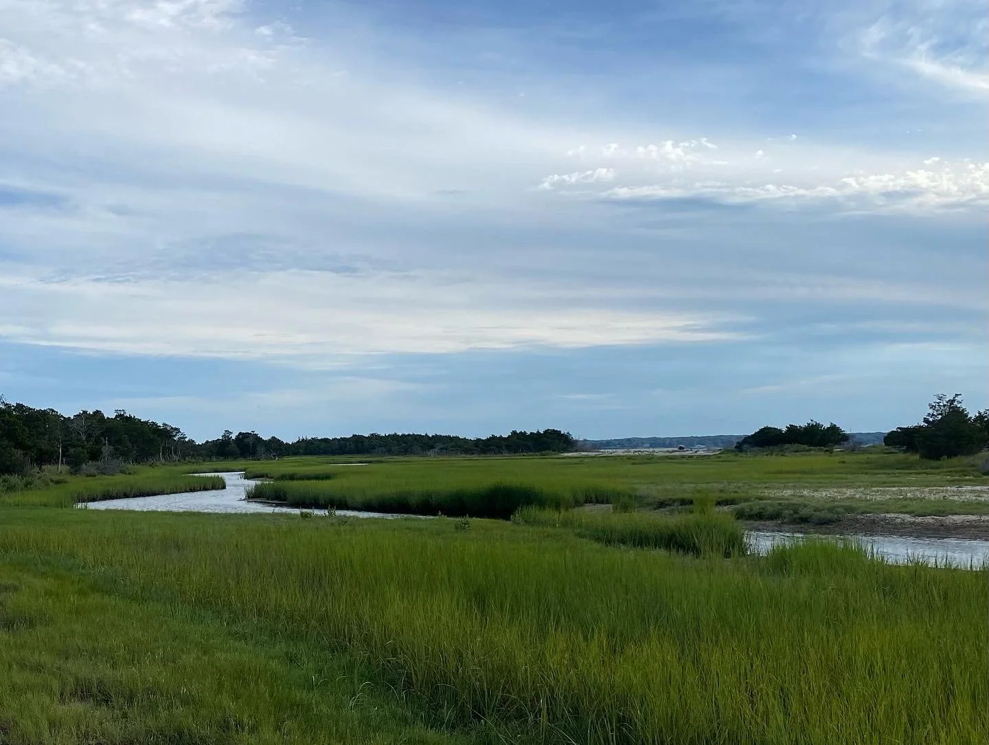 Scenic view of the Greenport marsh with calm waters, marsh grasses, and wildlife near Shelter Island, New York, captured during a Sail Selina NY sailing adventure