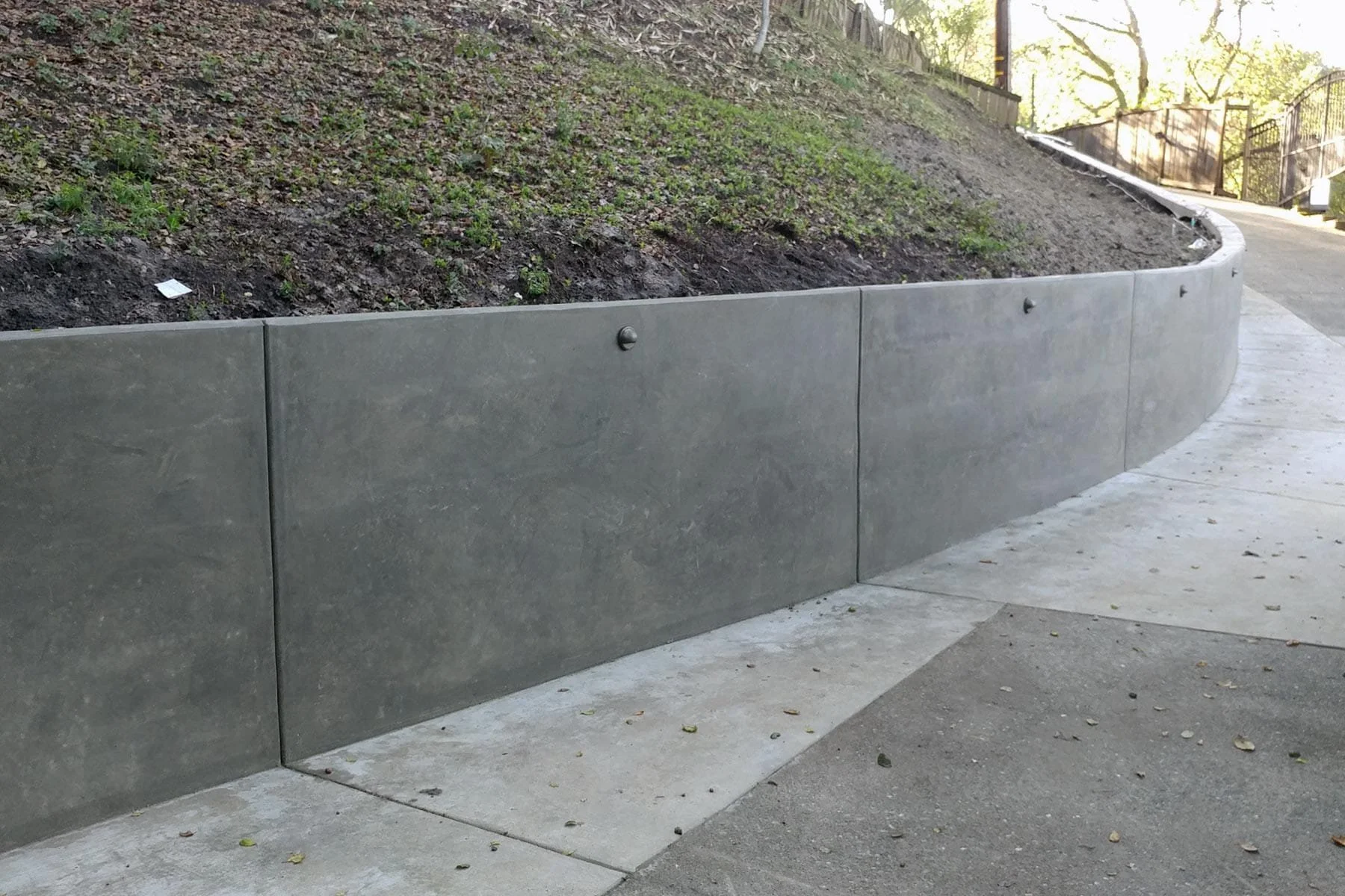 Concrete retaining wall along a sidewalk next to a grassy hill with small plants and fallen leaves.