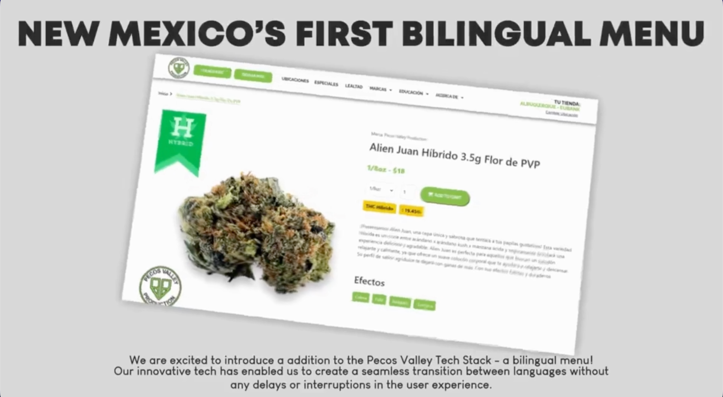MULTILINGUAL NATIVE E-COMMERCE STRATEGY