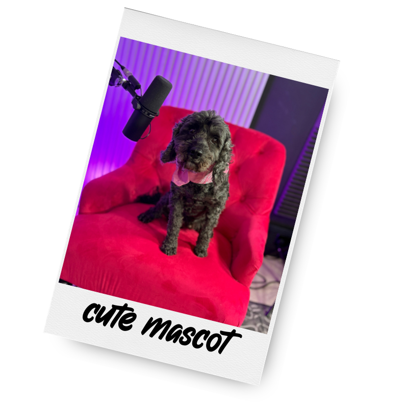A cute black curly-haired dog with a pink bandana sitting on a red chair, next to a professional microphone in a recording studio with purple ambient lighting.