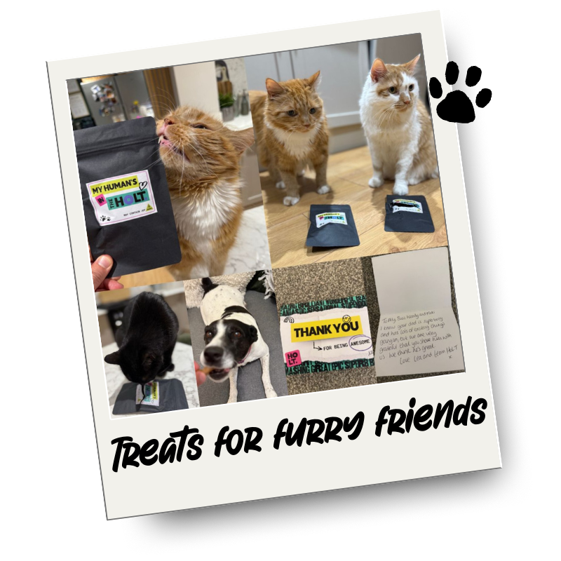A collage of photos showing cats and dogs receiving treats. The collage includes a note of thanks and appreciation for the furry friends.