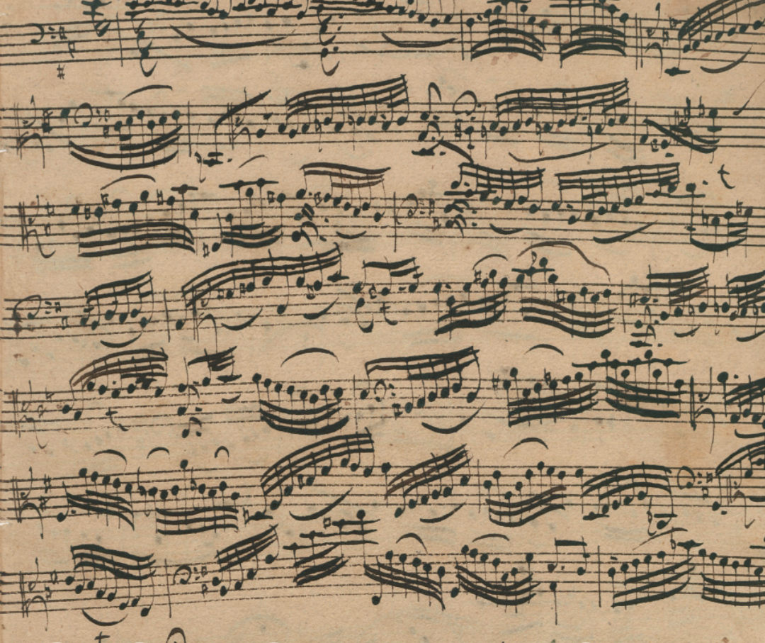 FALL FOLIAGE: Bach Cello Suites, Part 2 (Saturday)
