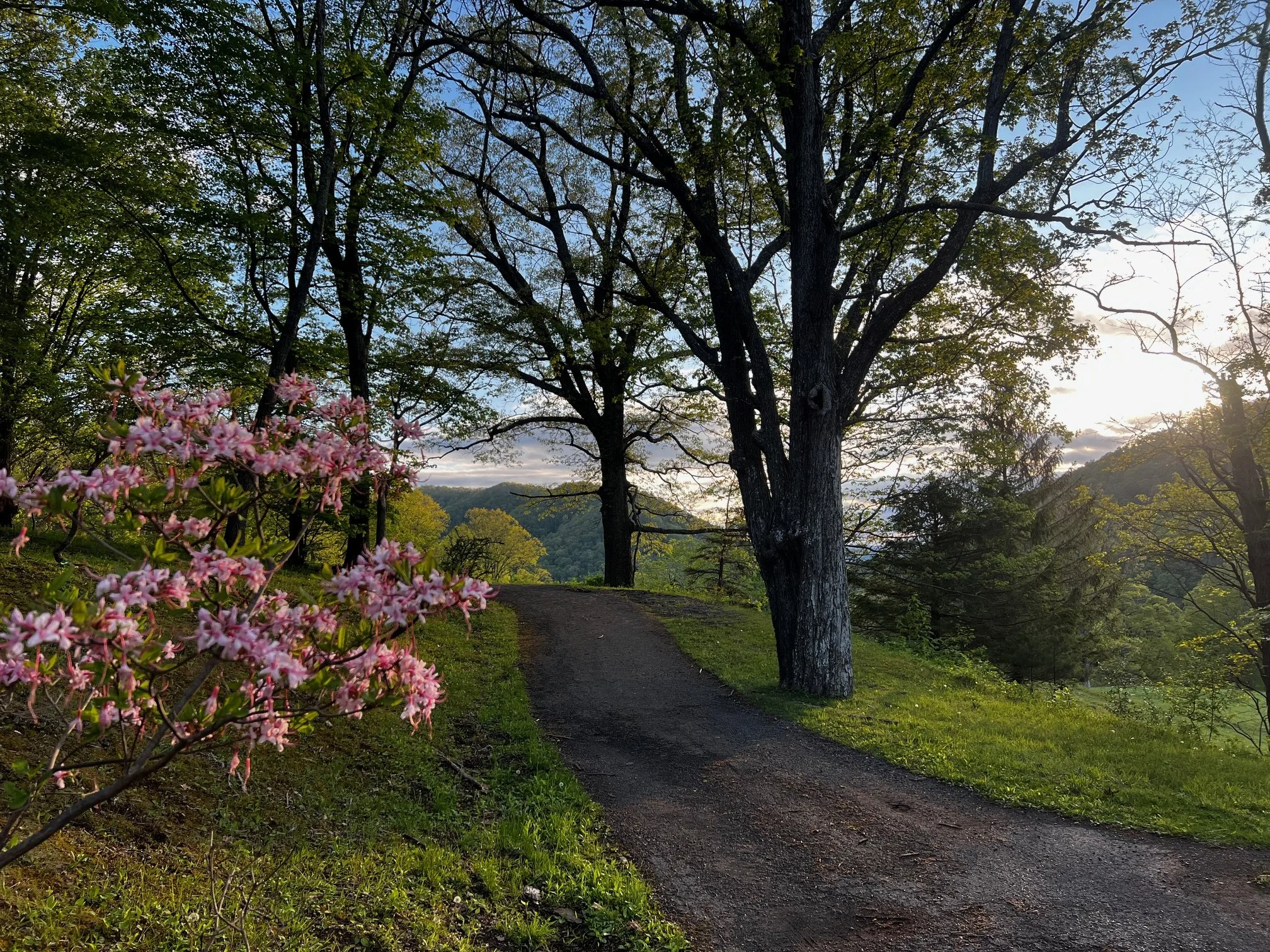 Finding Renewal at Archduke Weekend