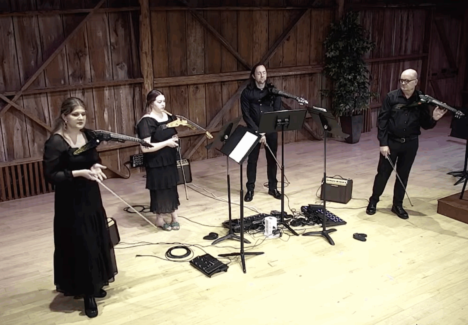 Anna Wallace (2021), performing with her electric string quartet in 2024