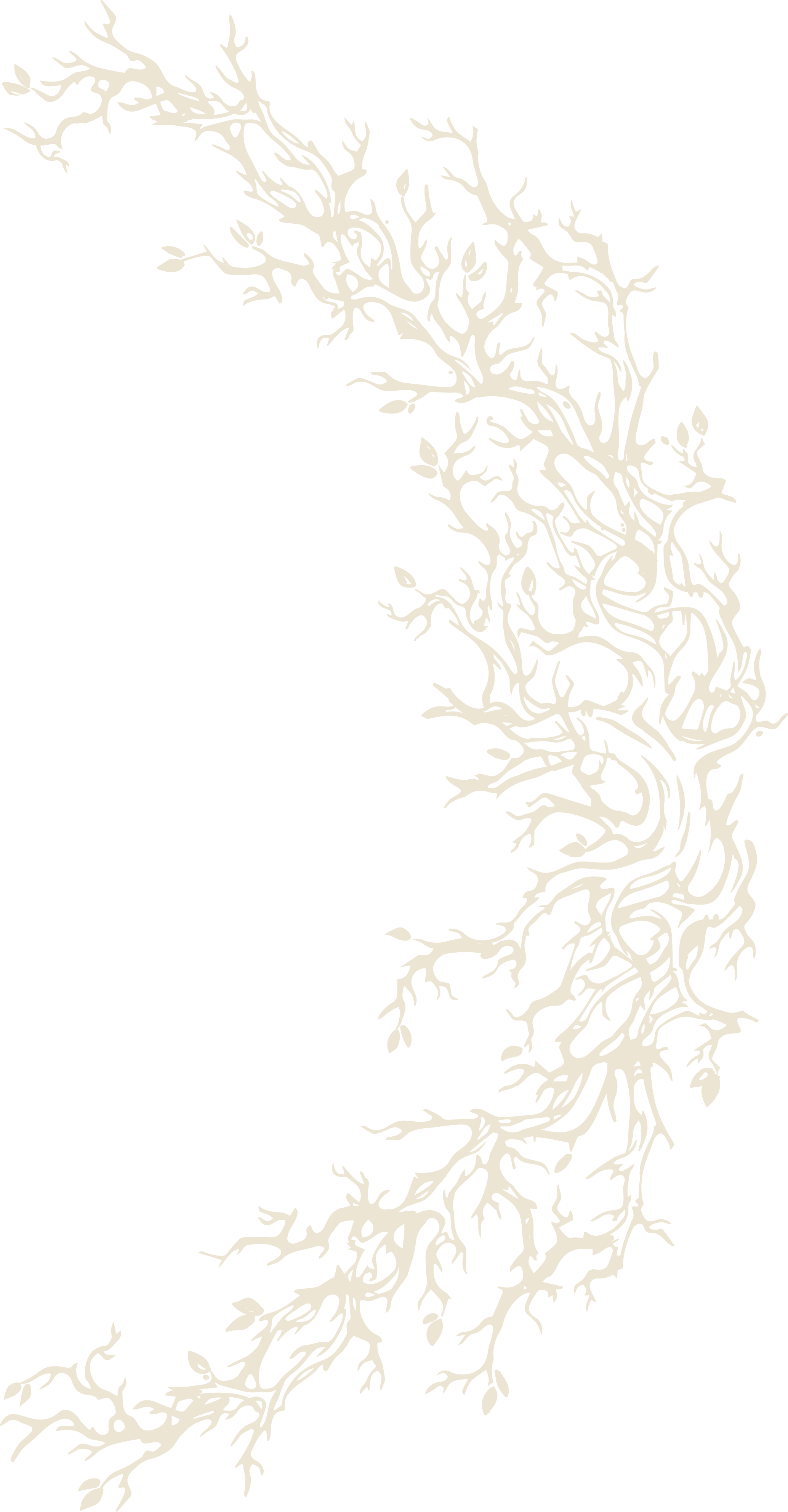 A stylized illustration of tree branches twisting into a crescent moon shape and small leaves on a black background.