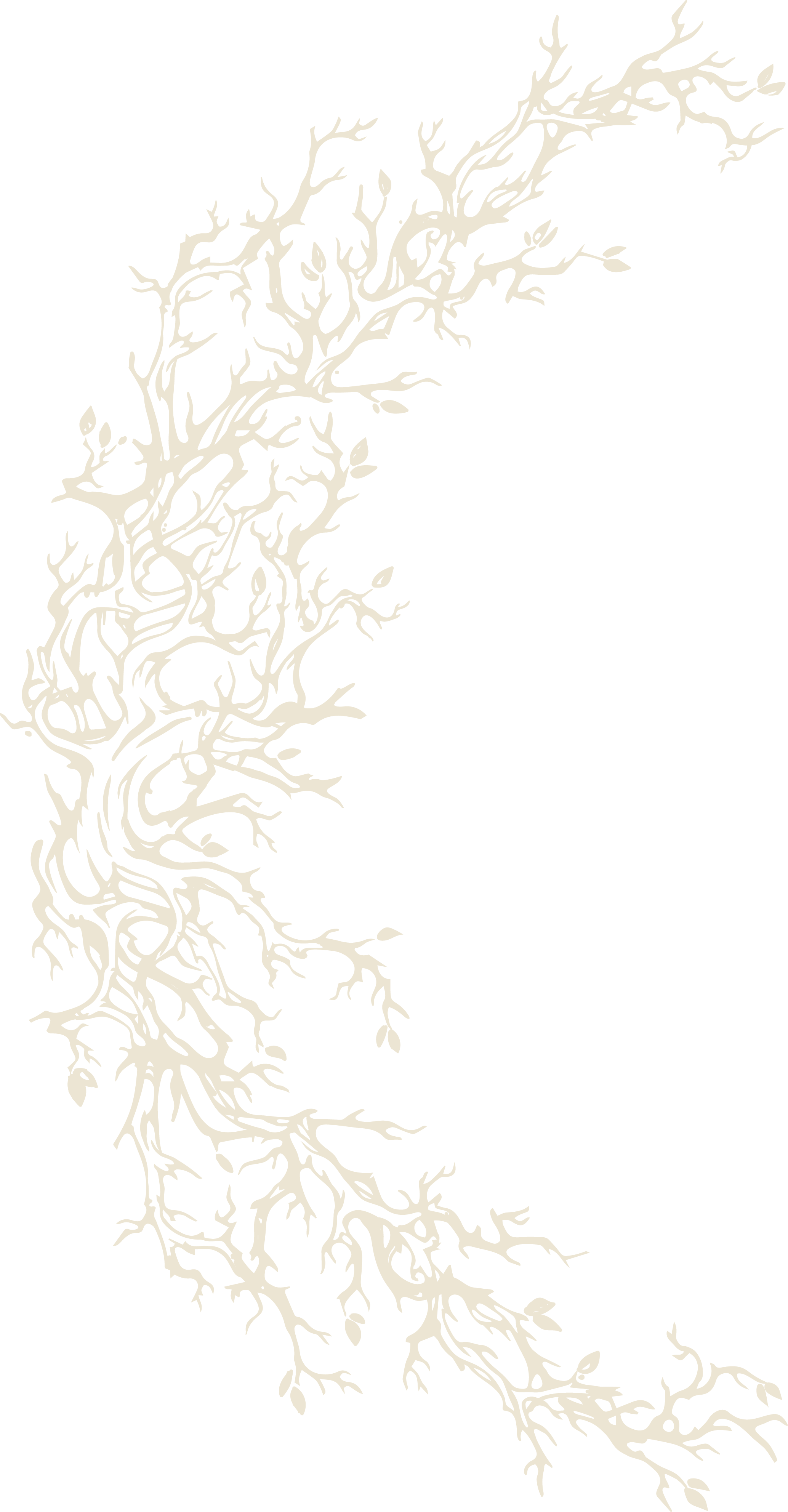 A stylized illustration of tree branches twisting into a crescent moon shape and small leaves on a black background.