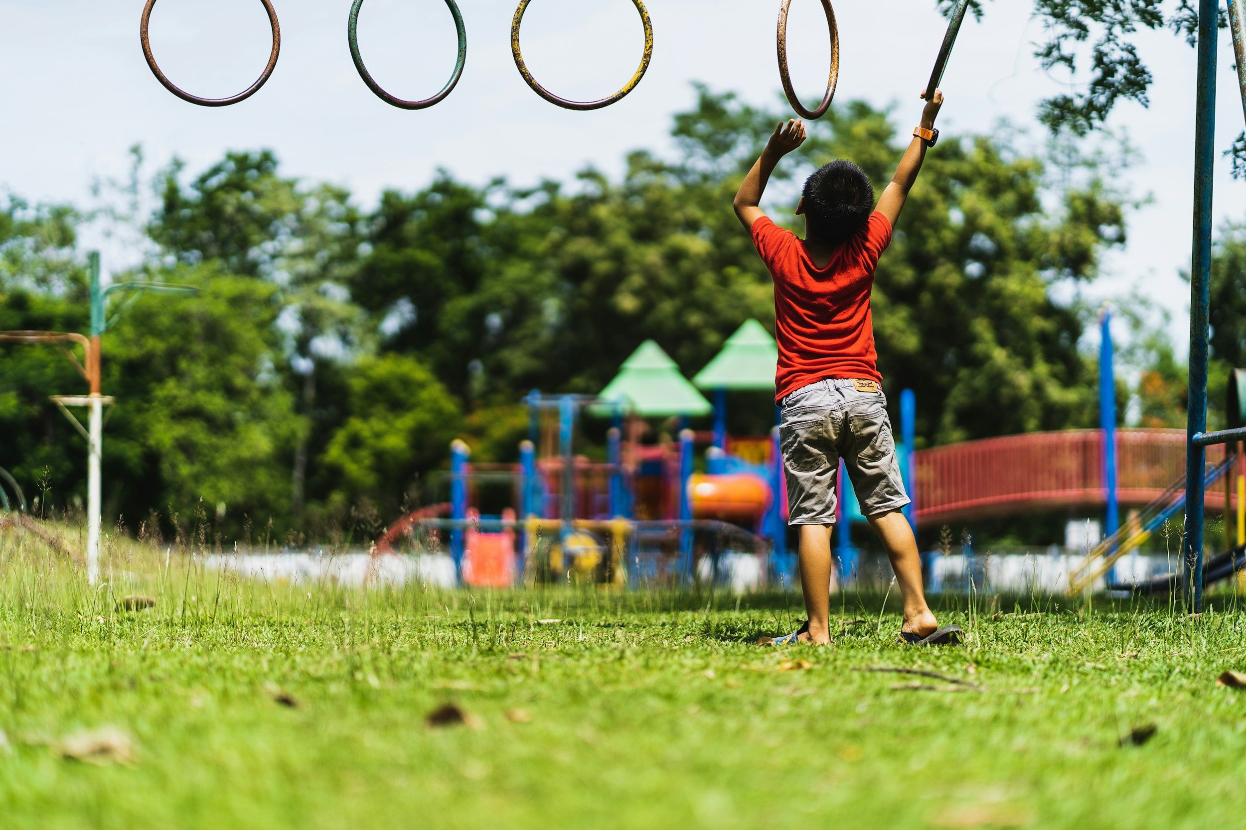 A young boy in a red shirt and gray shorts playing on a playground, reaching up to rings hanging from a frame, with a colorful playground structure and green trees in the background.