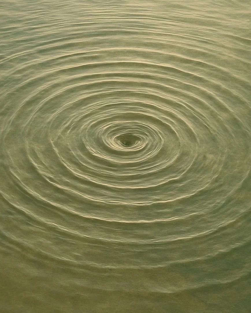Close-up of water with concentric ripples radiating from a central point.