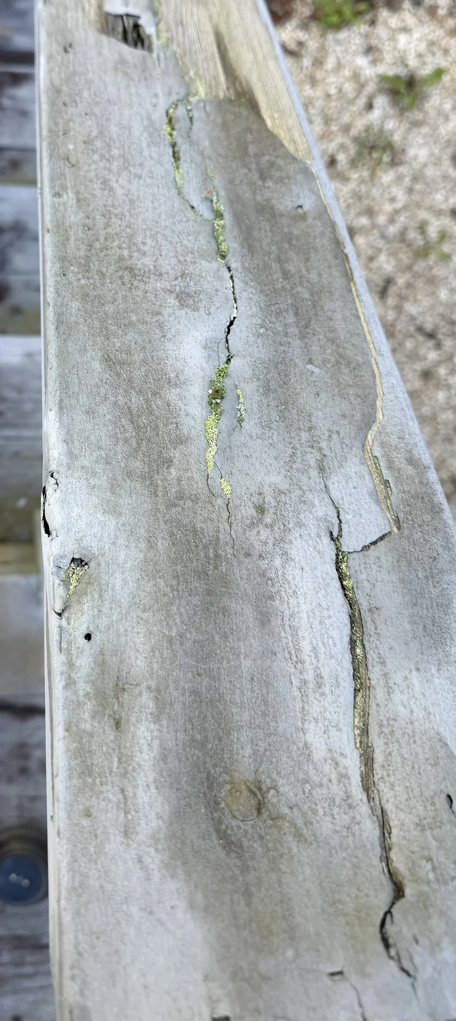 Sharp's Painting, LLC, WNC: deck stairs railing, paint cracked and mold growing