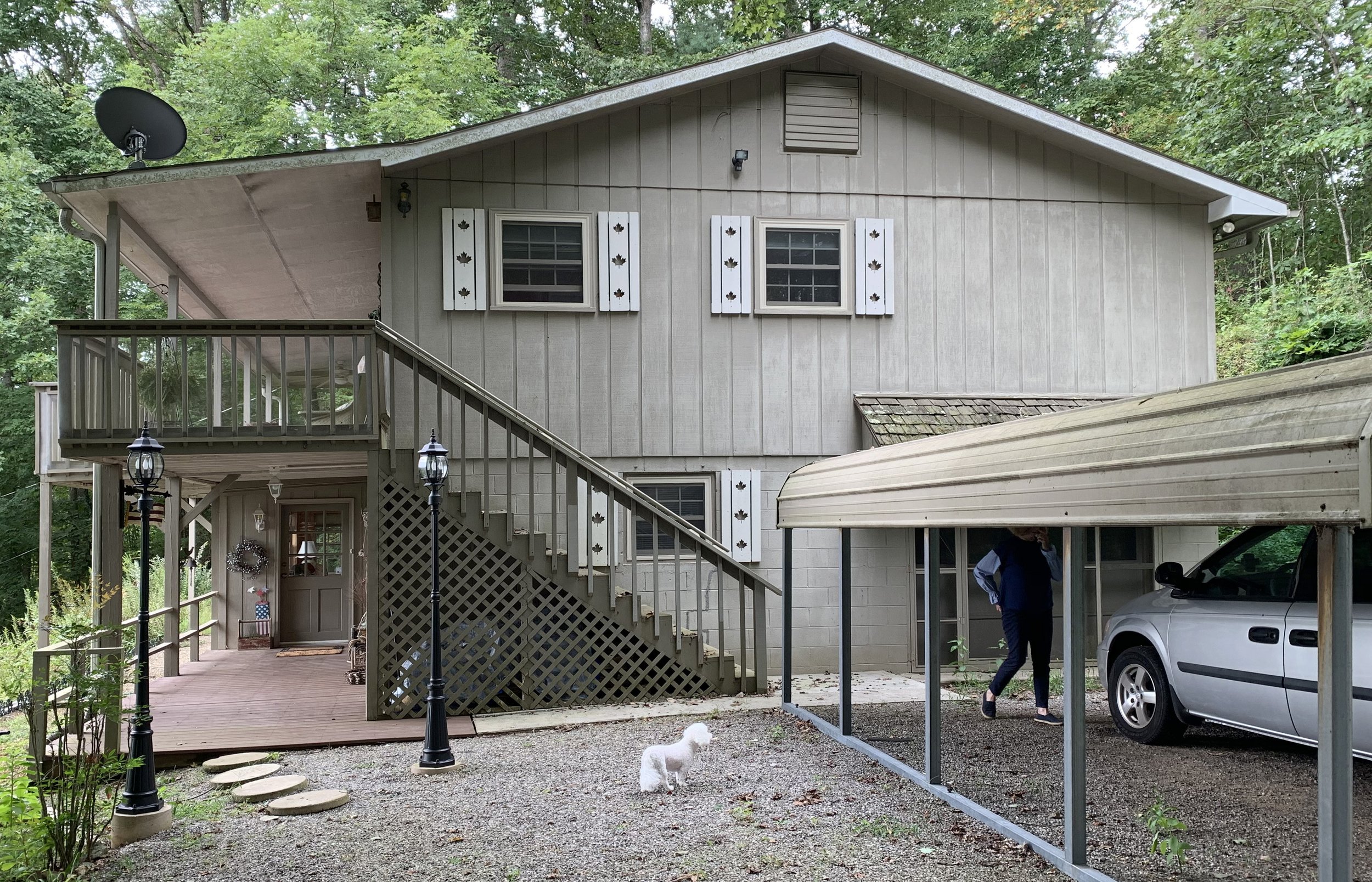 Sharp's Painting, LLC, WNC: cabin & carport with mold and intense fading