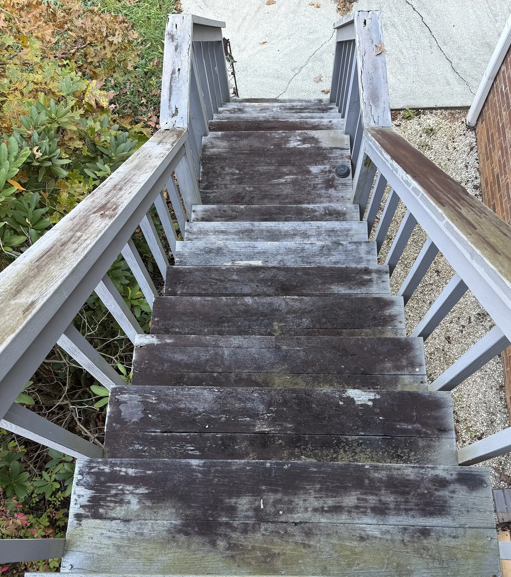 Sharp's Painting, LLC, WNC: deck stairs with slick mold