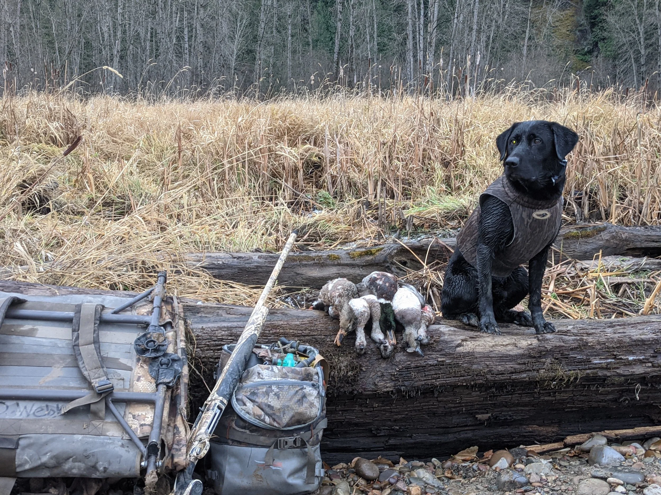 The History of the GCK Bolo Pad