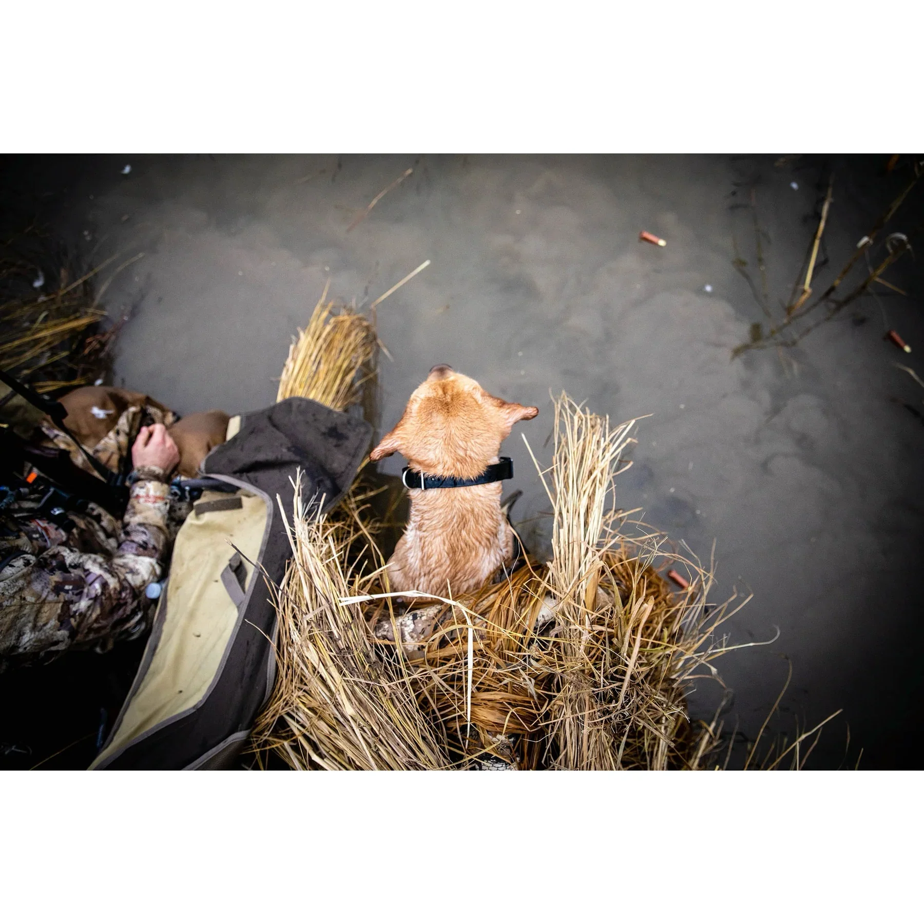 34018-Field_3_1800x1800.webp