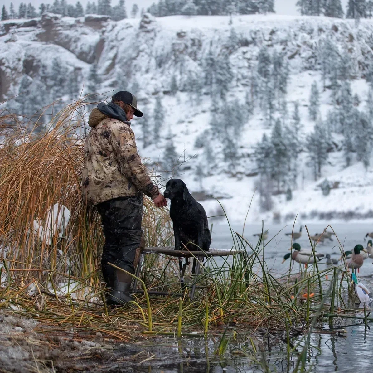34025_Final_Stand_Field_Lifestyle_1_240b7876-c749-47d0-991c-fb2dfff24481_1800x1800.webp