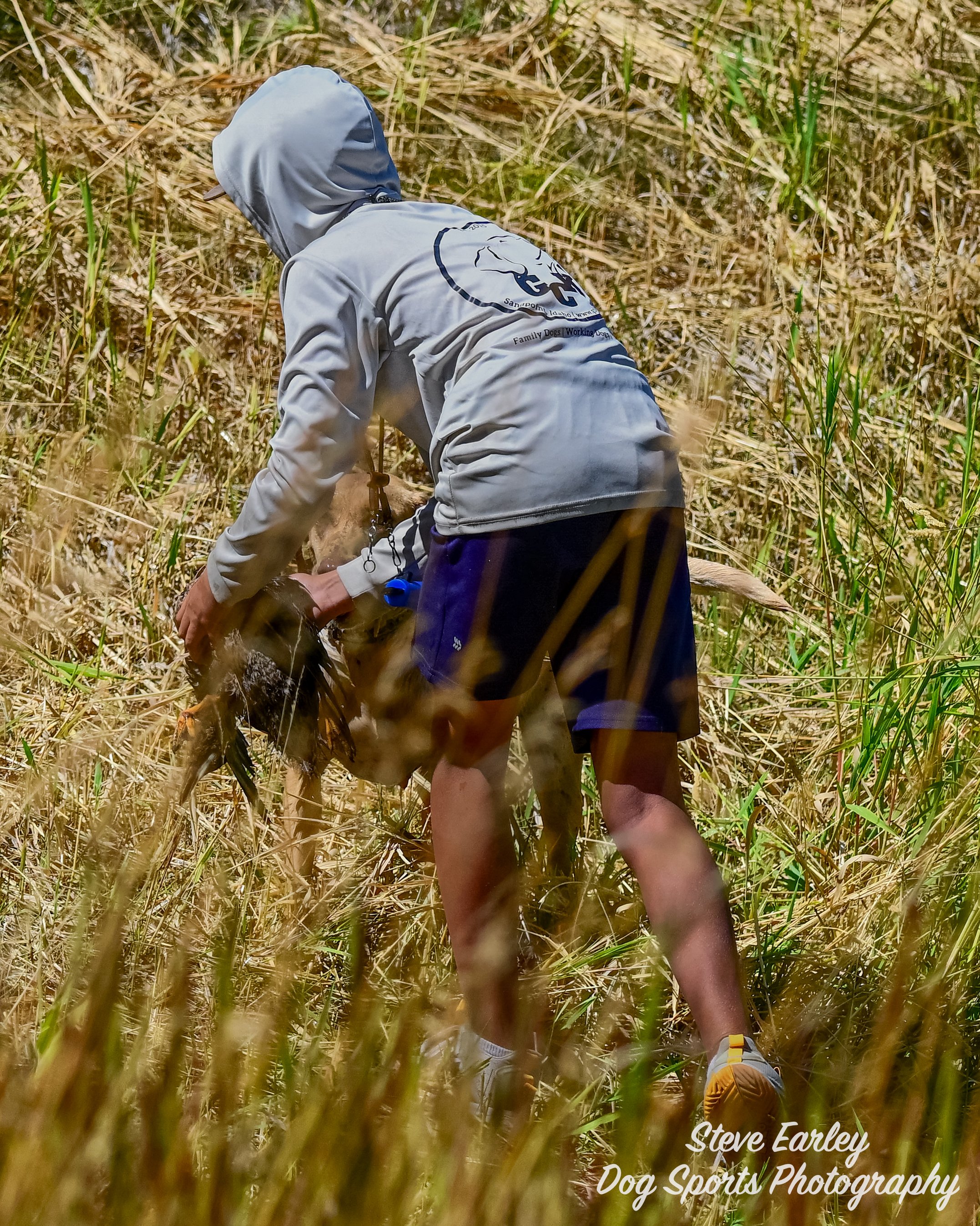 Dog Training | Off Site