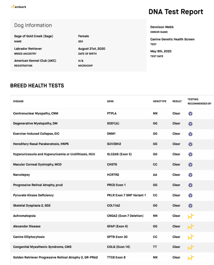 A DNA test report for a female dog named Sage of Gold Creek, born August 21, 2020. The report includes her owner name, dog breed Labrador Retriever with microchip registration. The document lists various breed health tests with results marked as 'Clear' and gene details, including tests for illnesses like Centronuclear Myopathy, Degenerative Myelopathy, and others, with some additional genetic information.