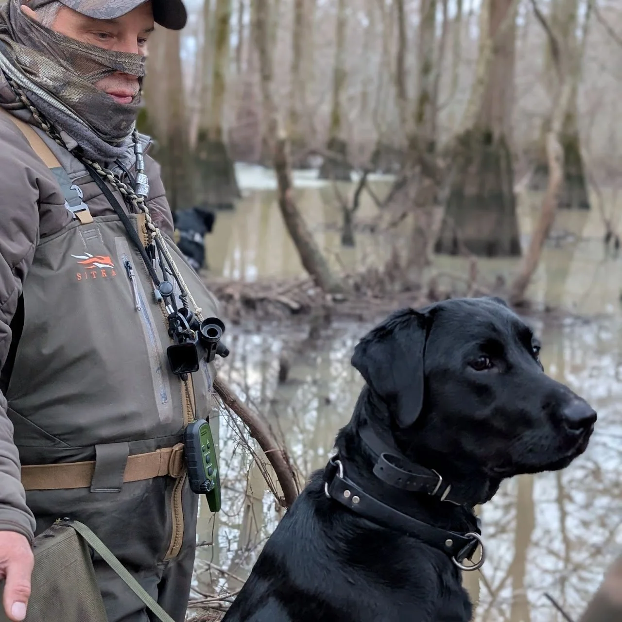 A person in outdoor gear with a dog by a swampy area with water and trees in the background.